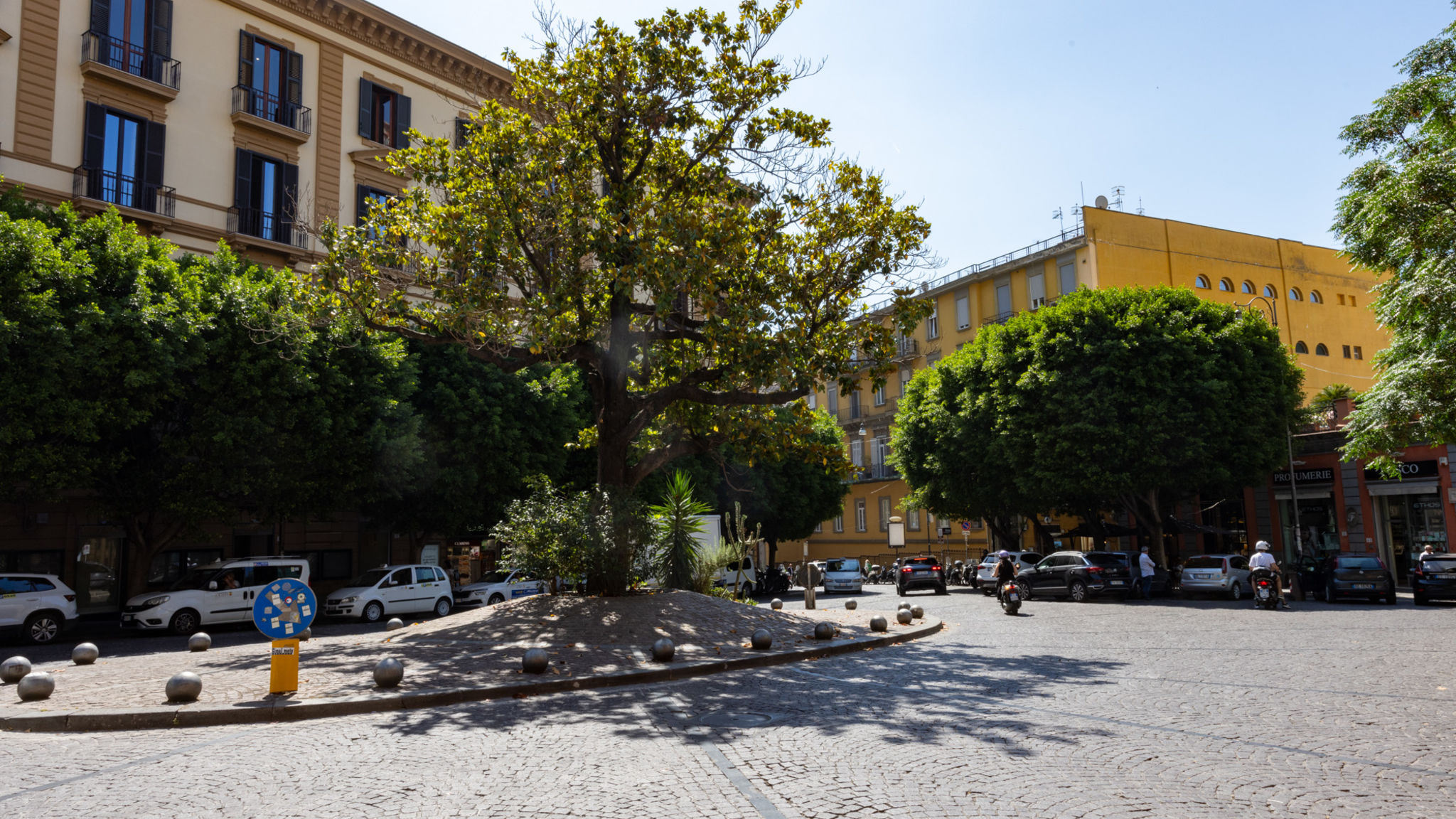 Parco Margherita 3 - PM1