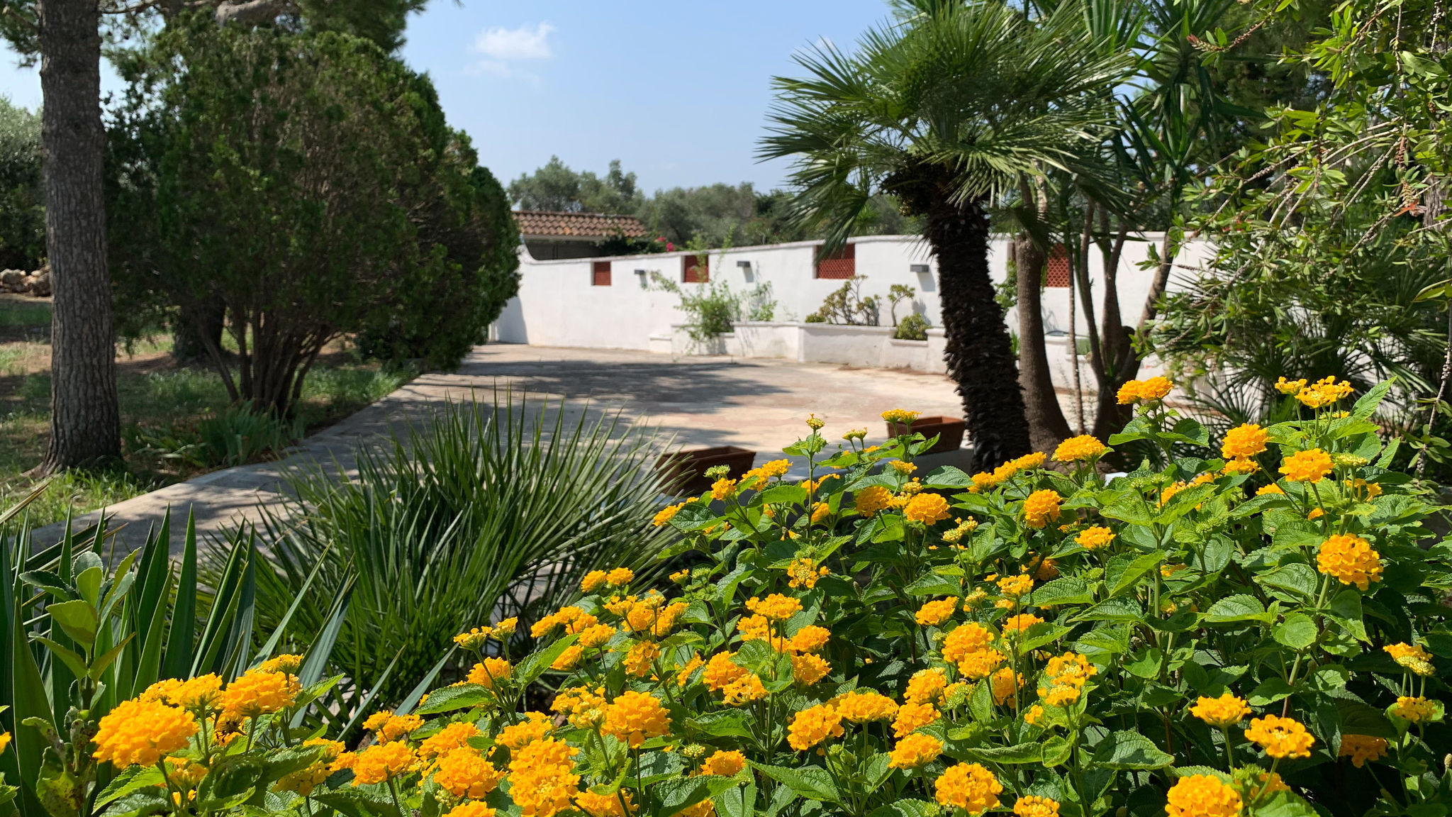 Italianway Lecce A Casa di Alfredo appartamento in villa