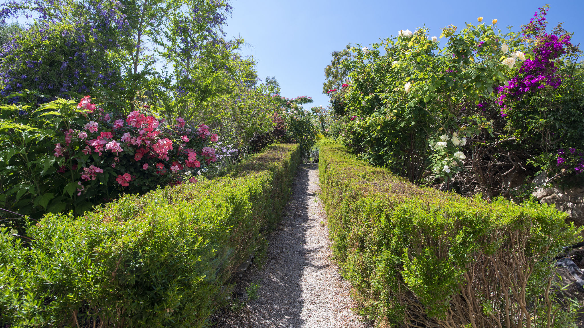 Italianway Olmedo Sardinia Re - Villa Fioretta Flowers Apartments - Garden Apartment