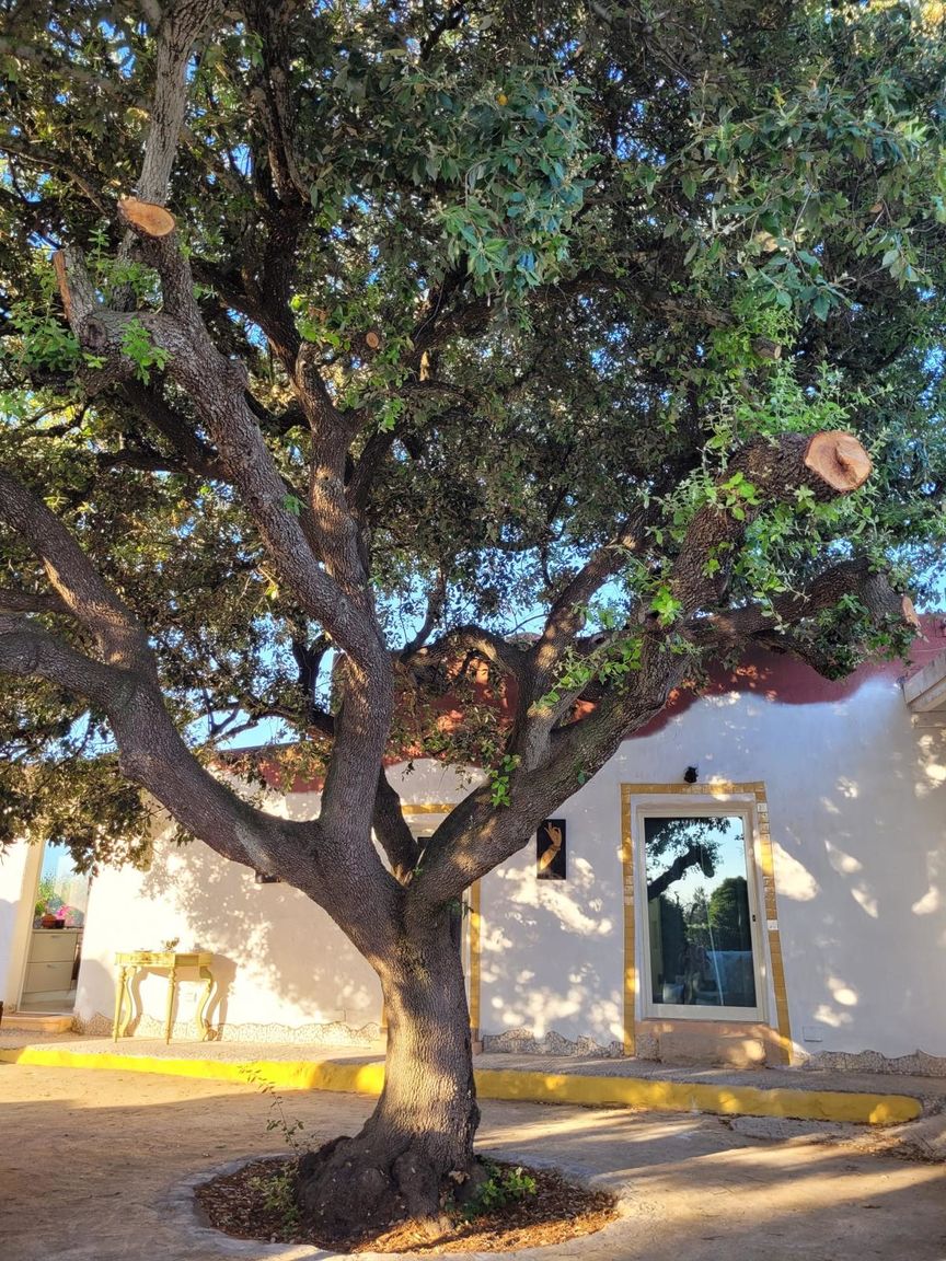 Tenuta Victoria - Garden House