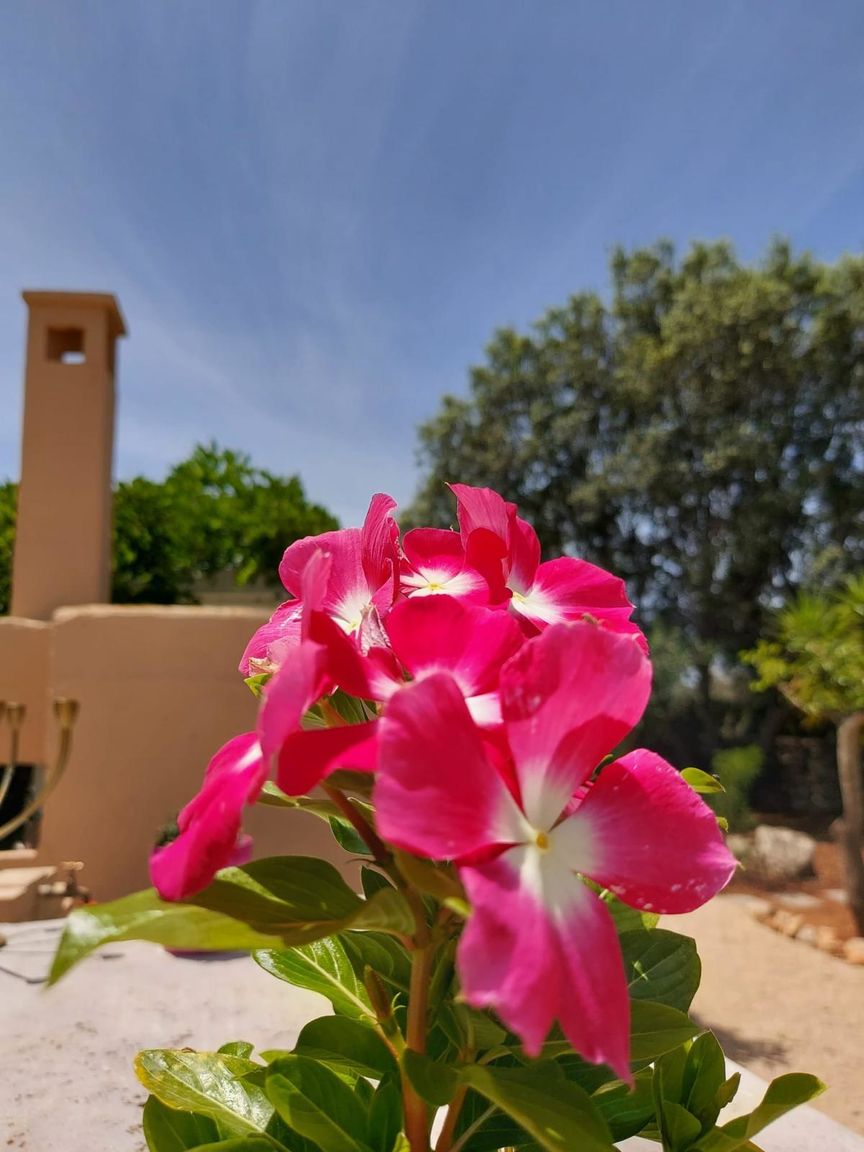 Tenuta Victoria - Suite One