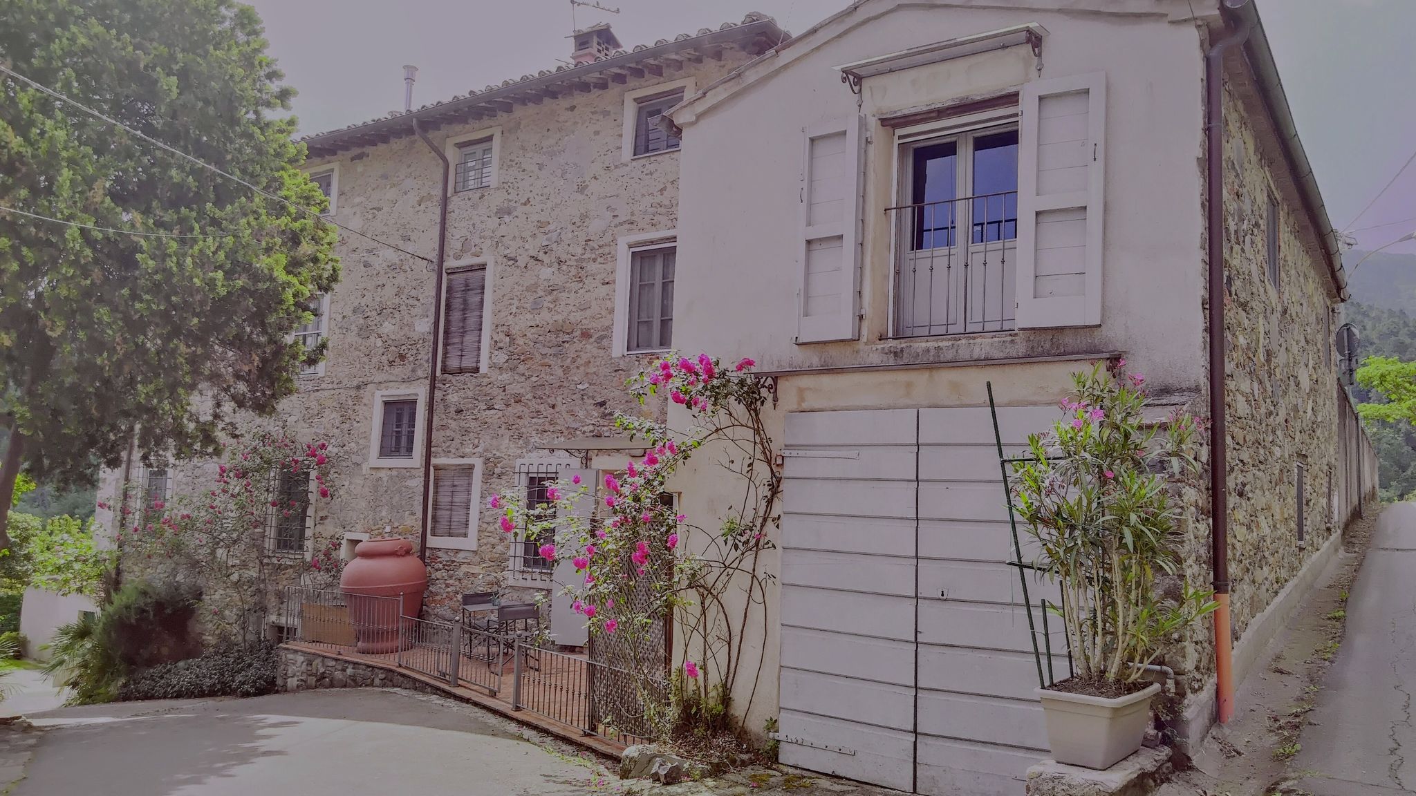 Casale Delle Camelie