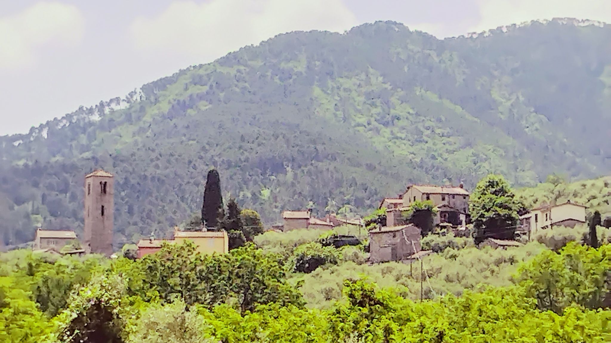 Casale Delle Camelie