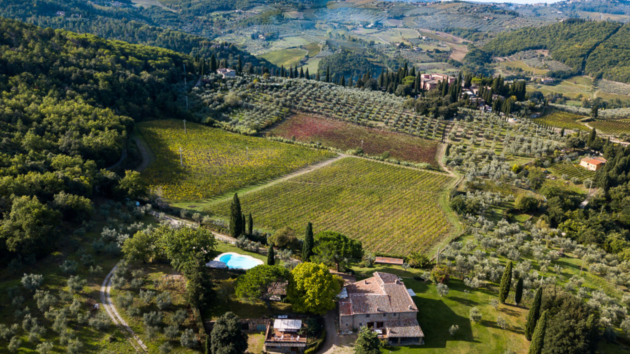 Villa da Vinci