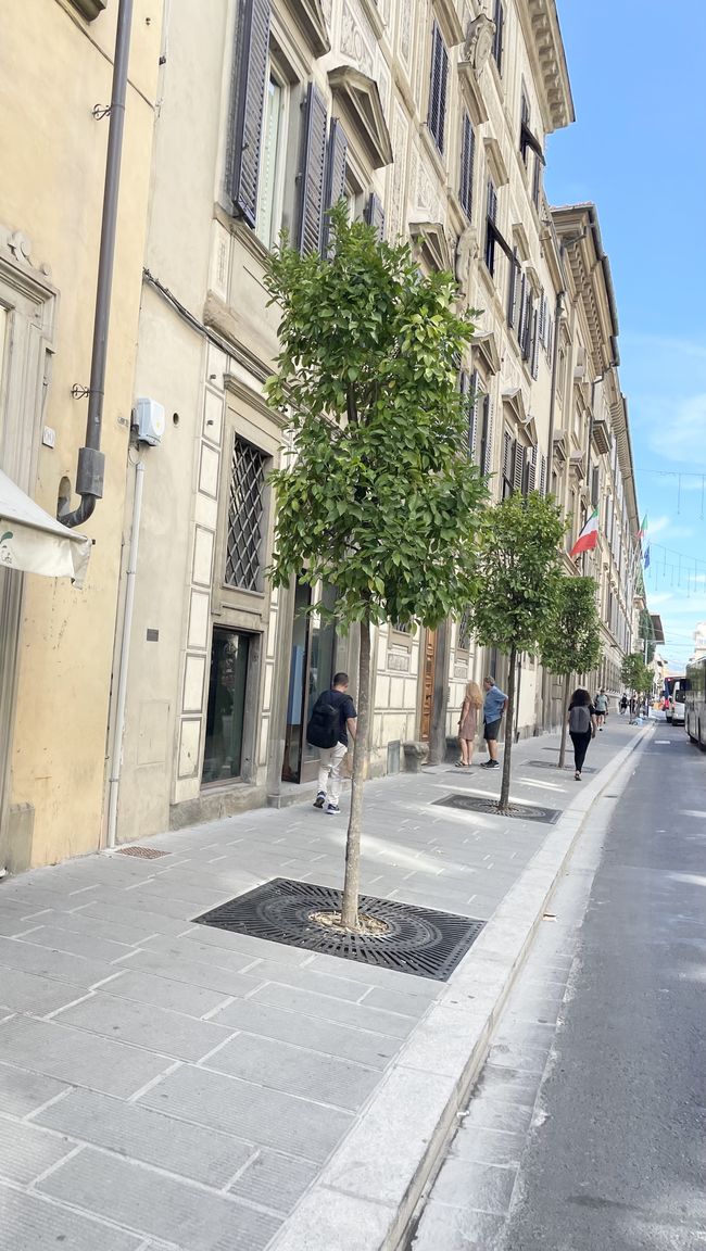 Italianway Firenze Cavour 36