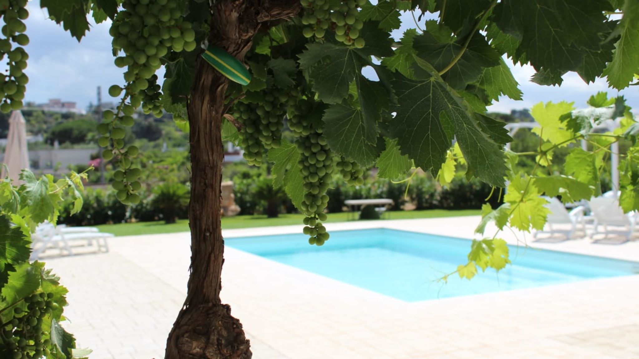 Puglia to be Martina Franca Lamia Itria