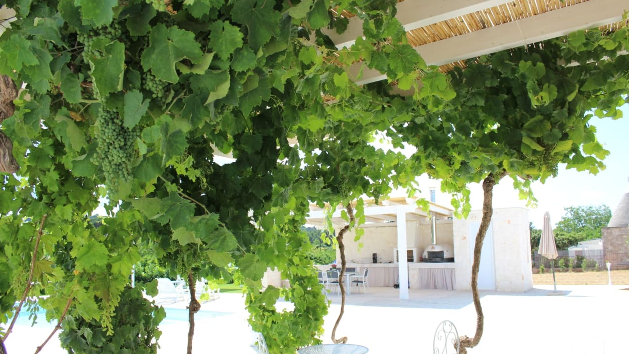 Puglia to be Martina Franca Lamia Itria