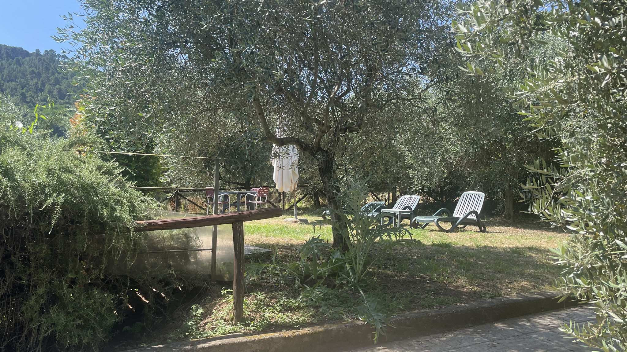 Casale Delle Camelie