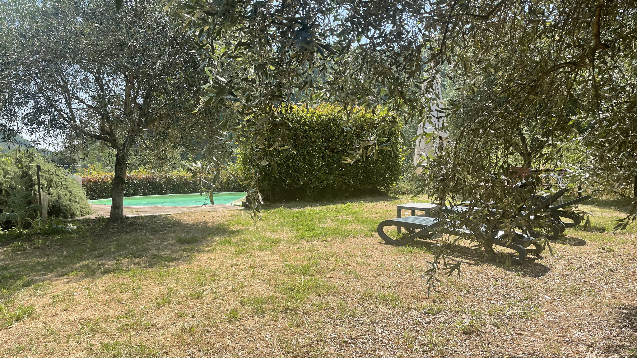Casale Delle Camelie