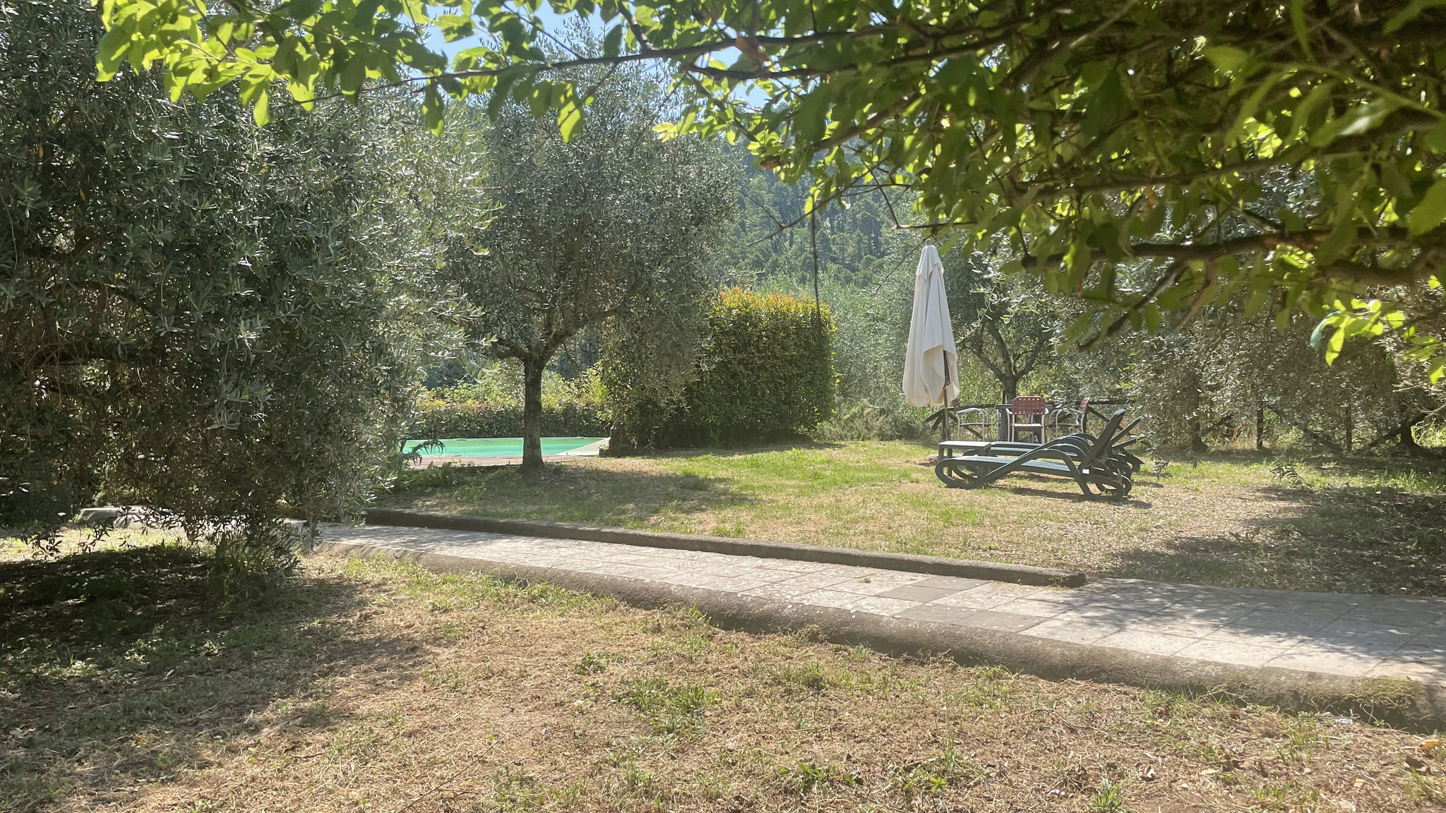 Casale Delle Camelie