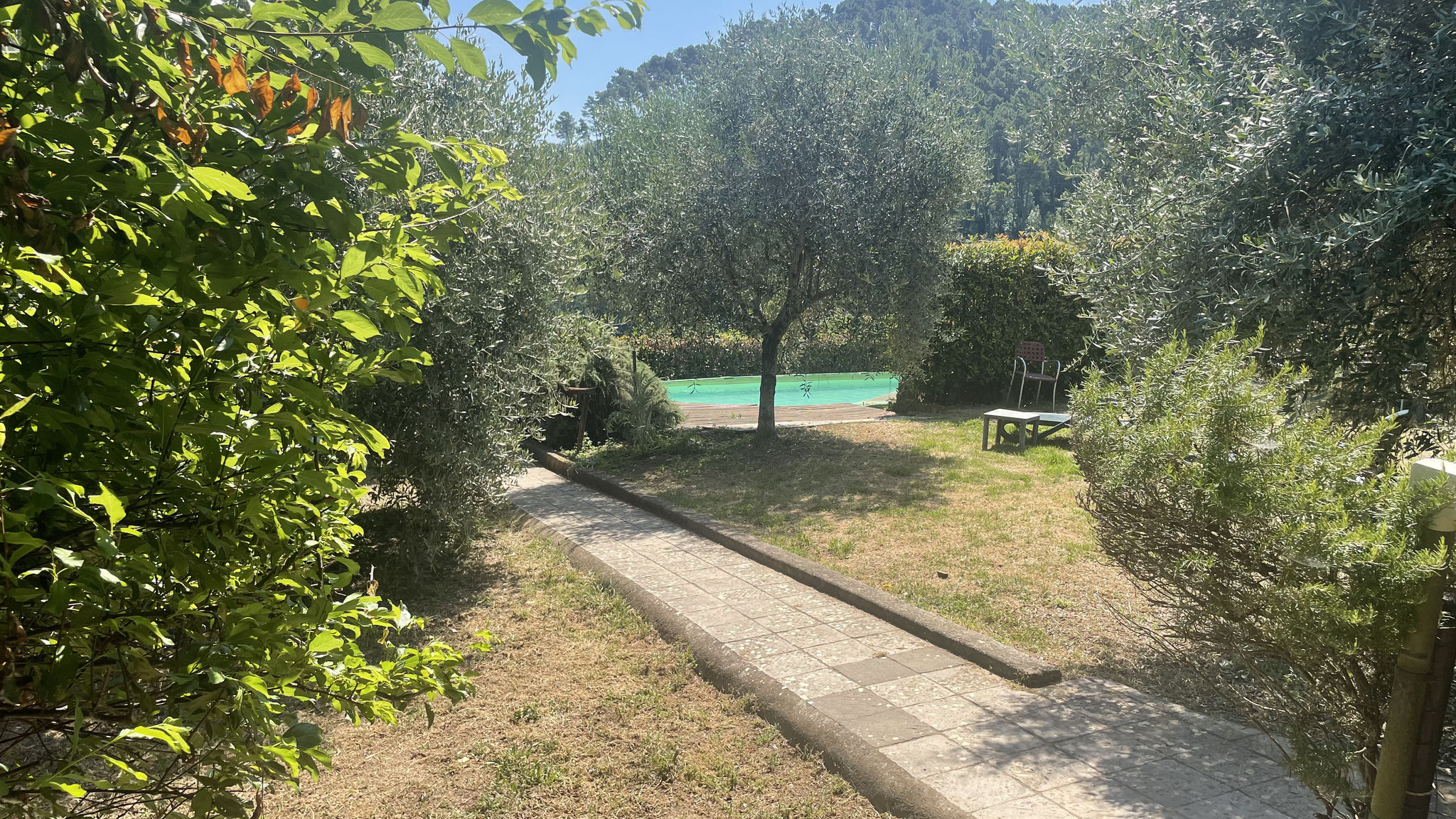 Casale Delle Camelie
