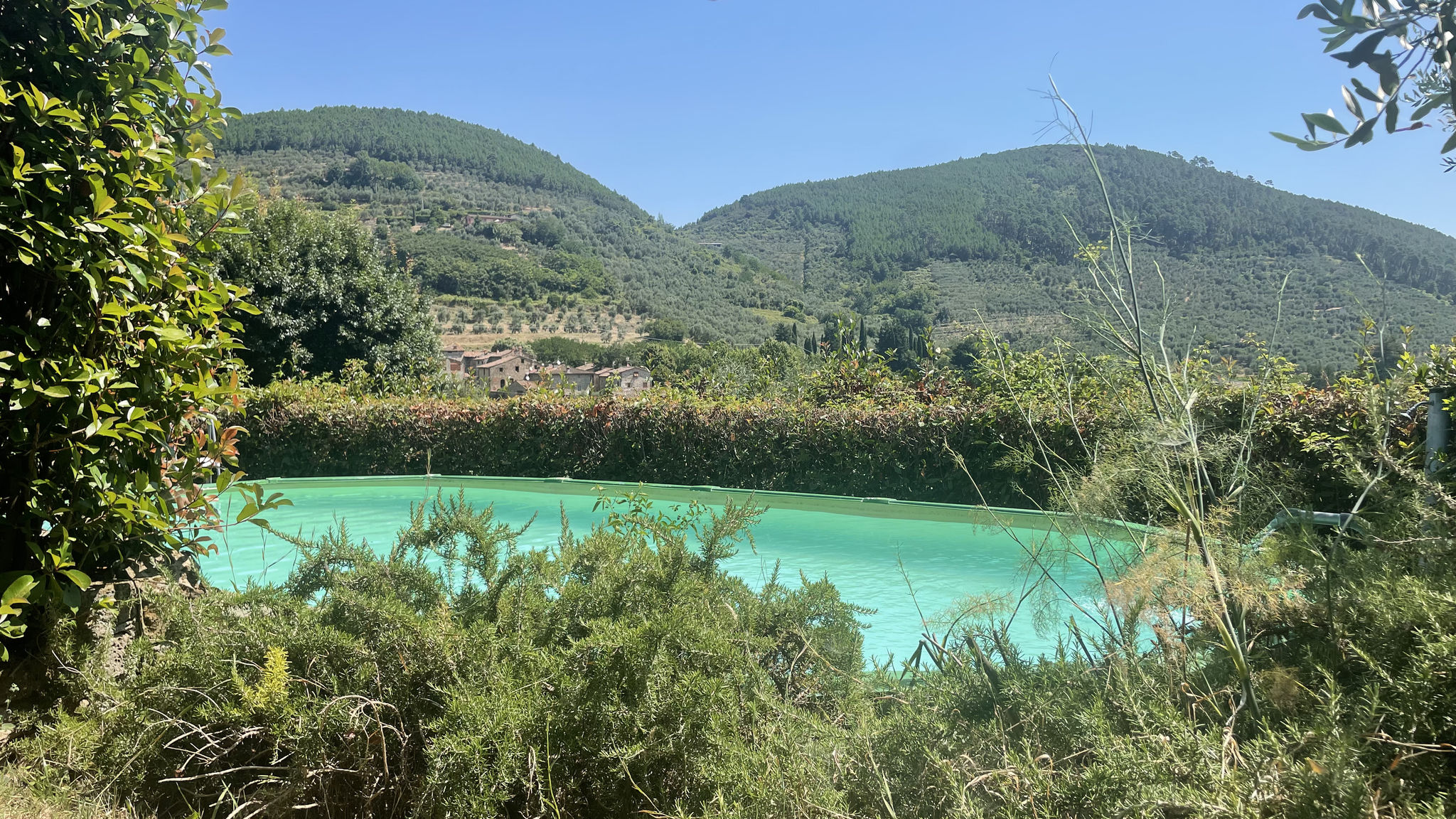 Casale Delle Camelie