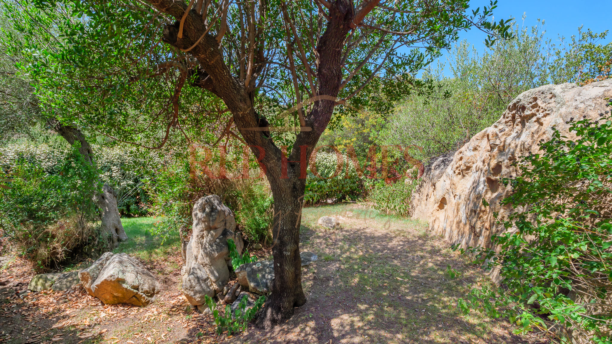 Italianway Olbia S' Aligusta