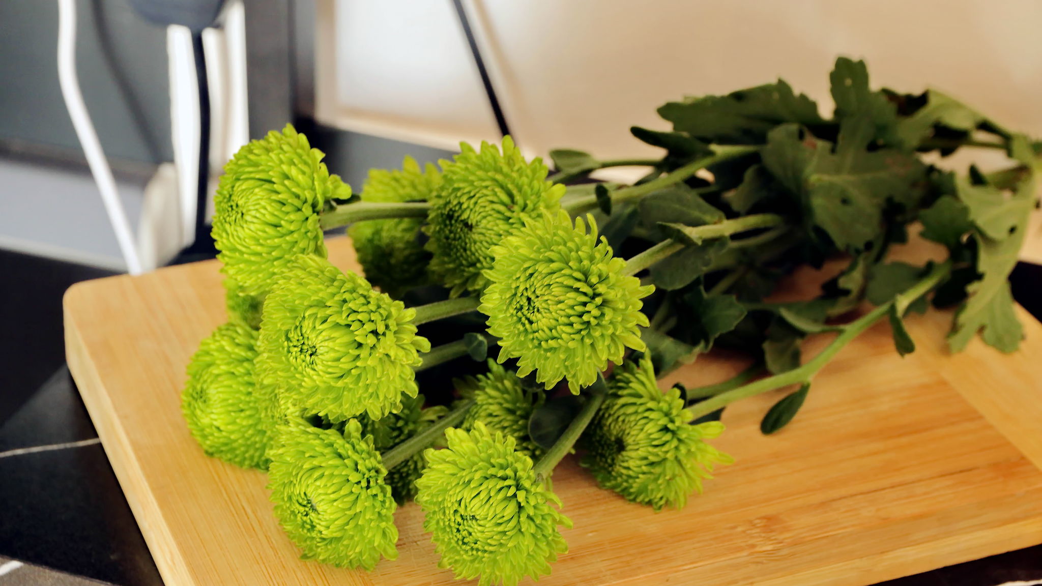 Italianway Roma Marta's flat by Domus&Dimore