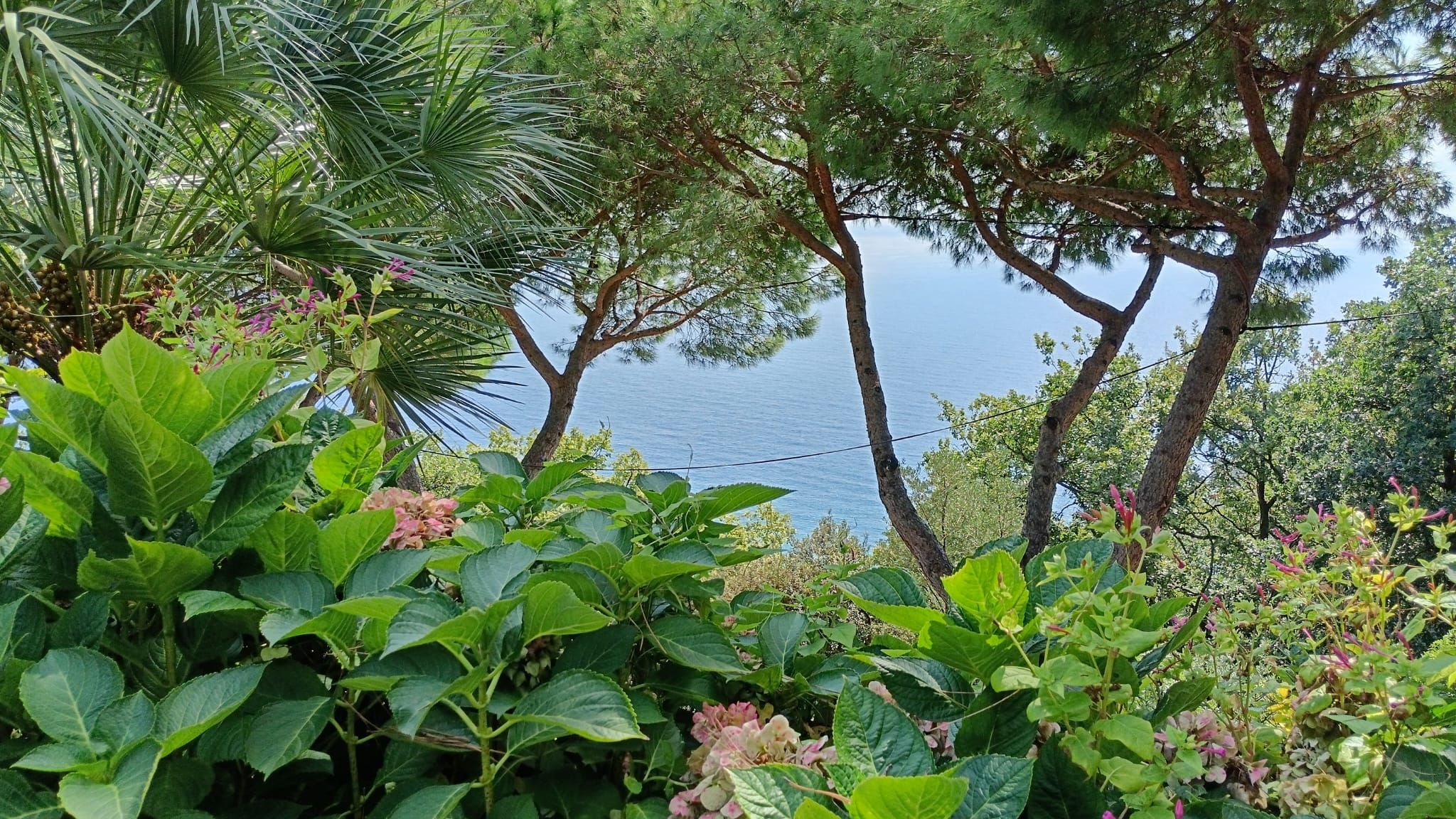 Italianway Bergeggi La Rosa dei Venti