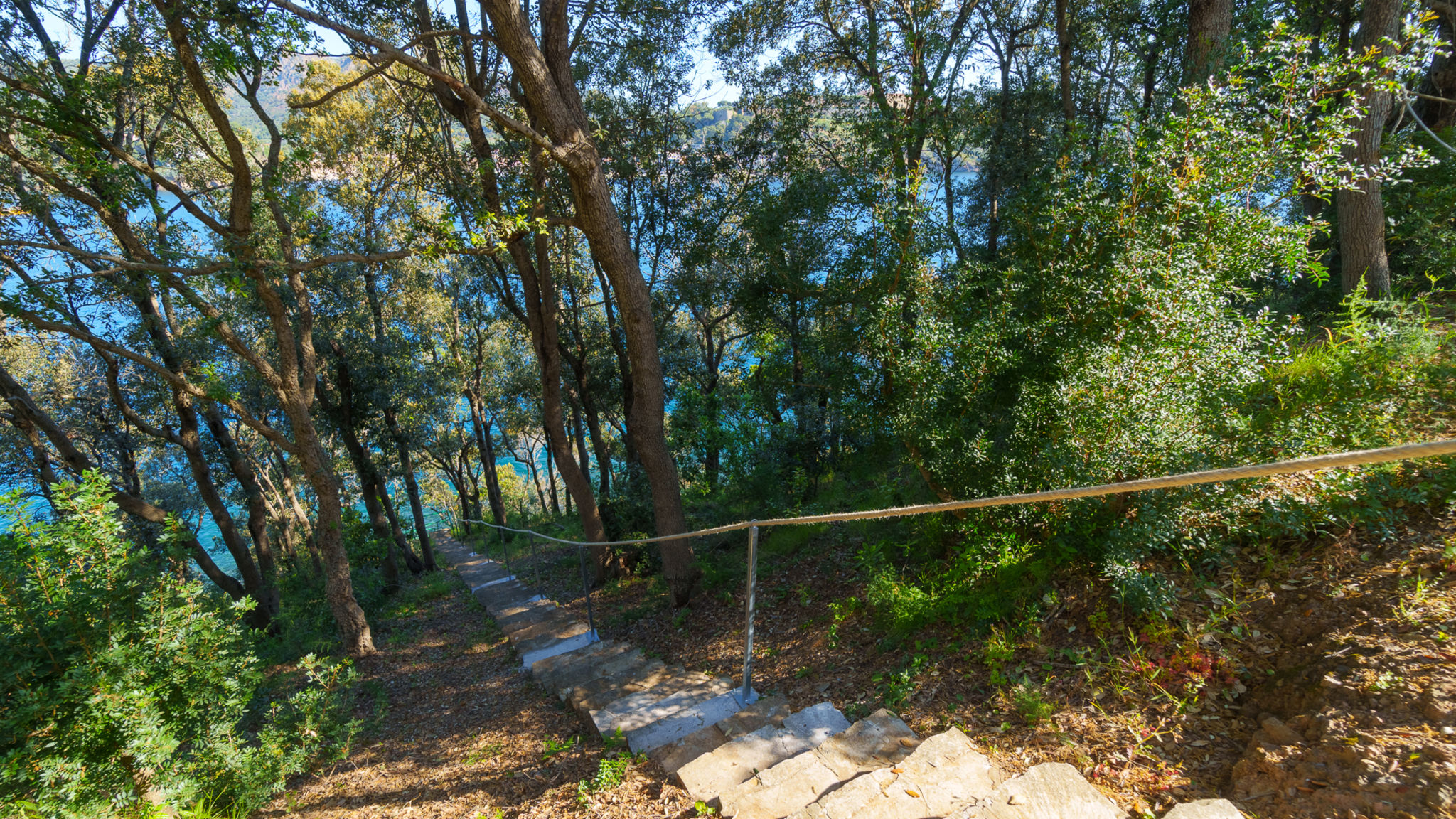 Italianway Capoliveri Casa William - Villa Principale