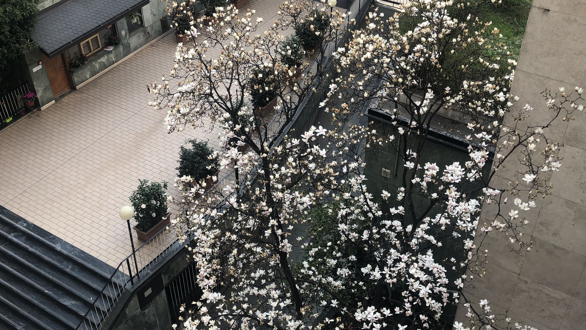 Italianway Milano Music House