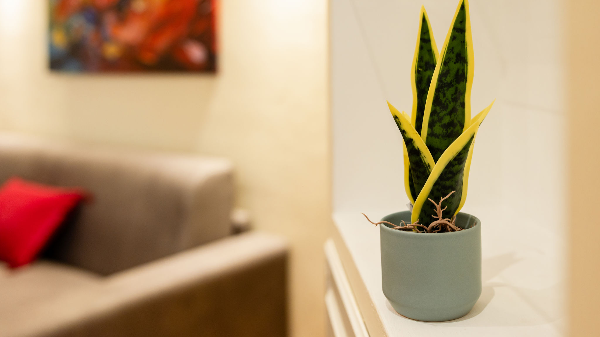 Italianway Roma Casa Savorelli