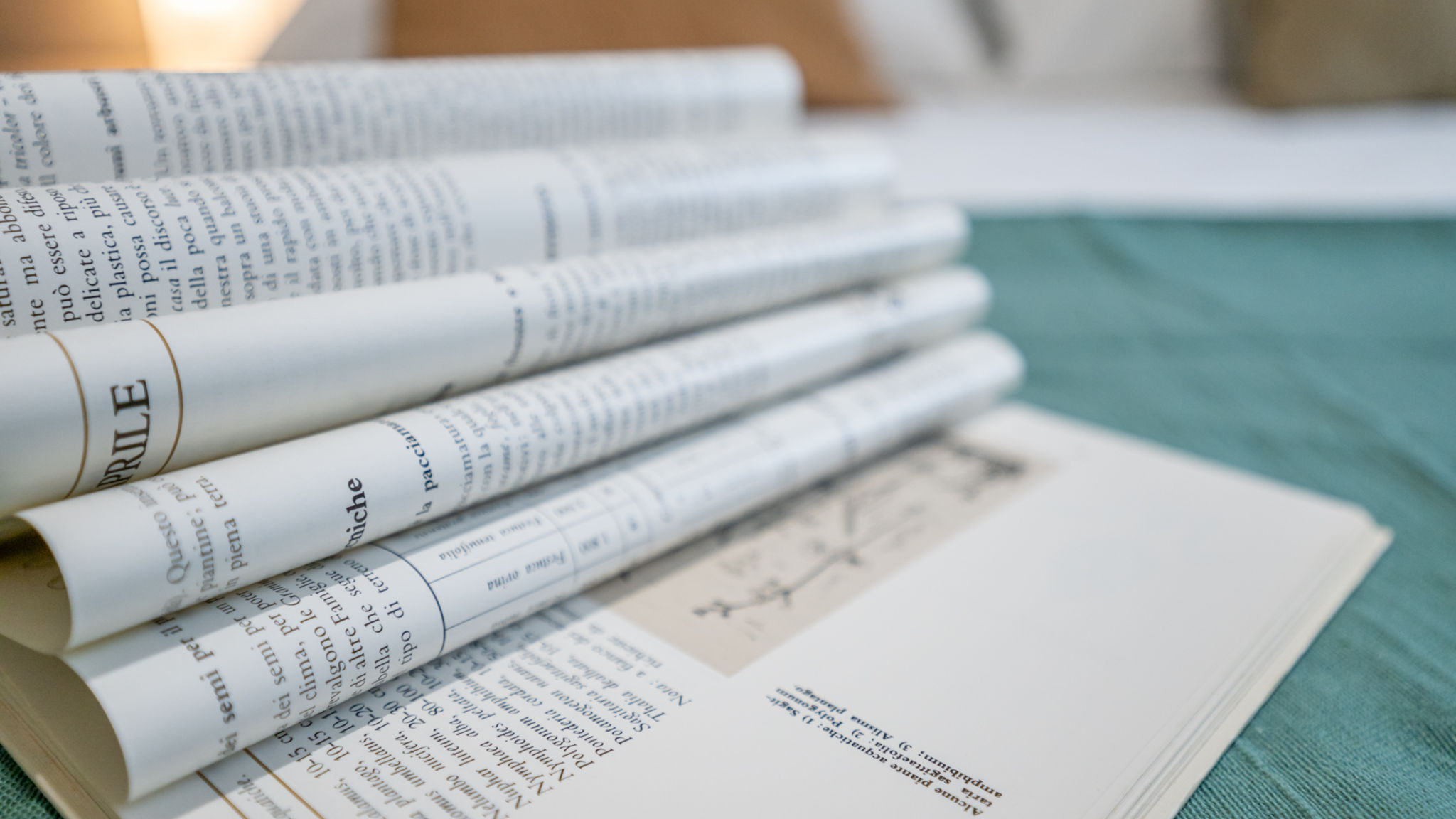 Italianway Pisa Sage&Rosemary Home - with Garden by Pleiades Home