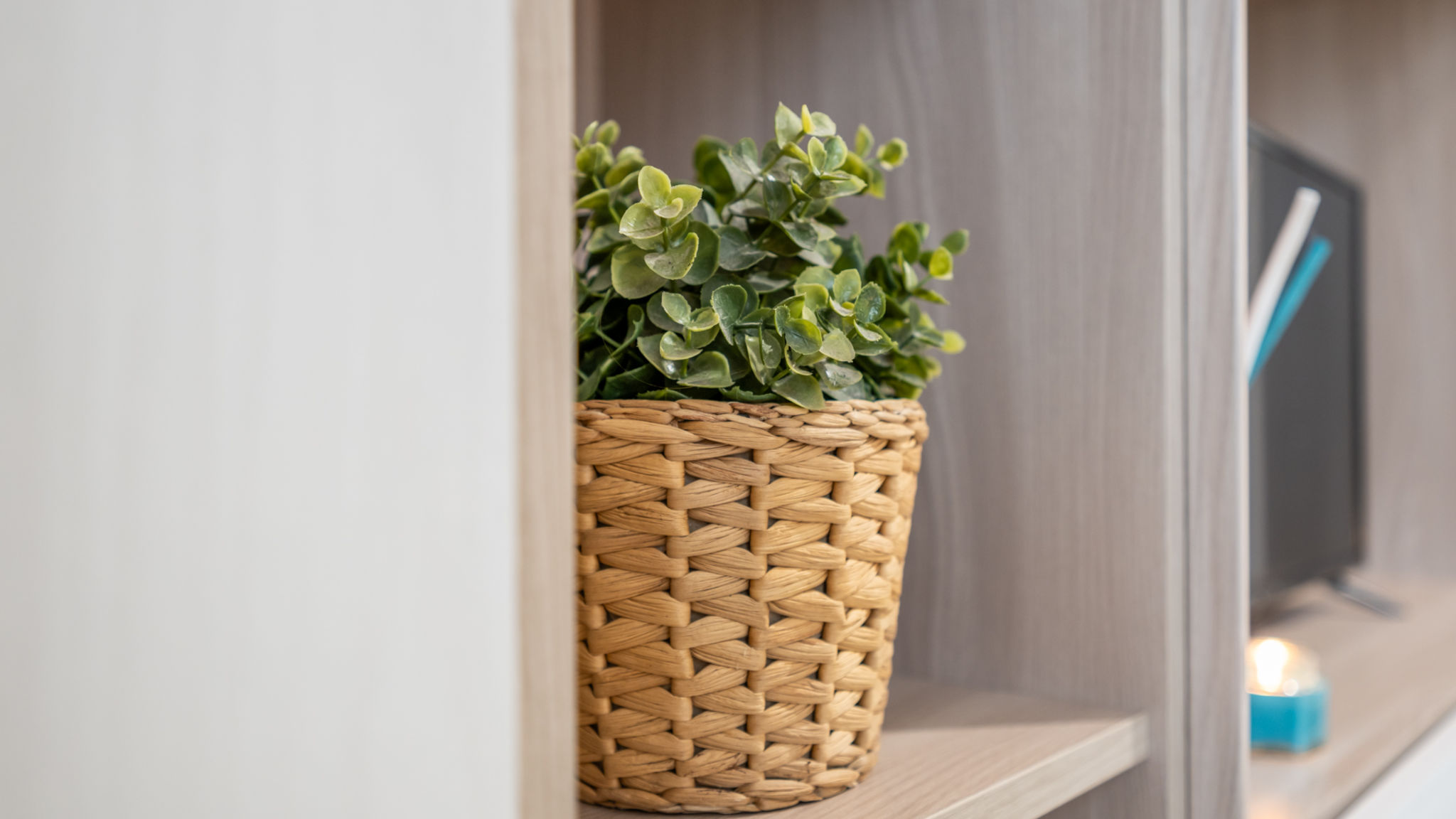 Italianway Pisa Sage&Rosemary Home - with Garden by Pleiades Home