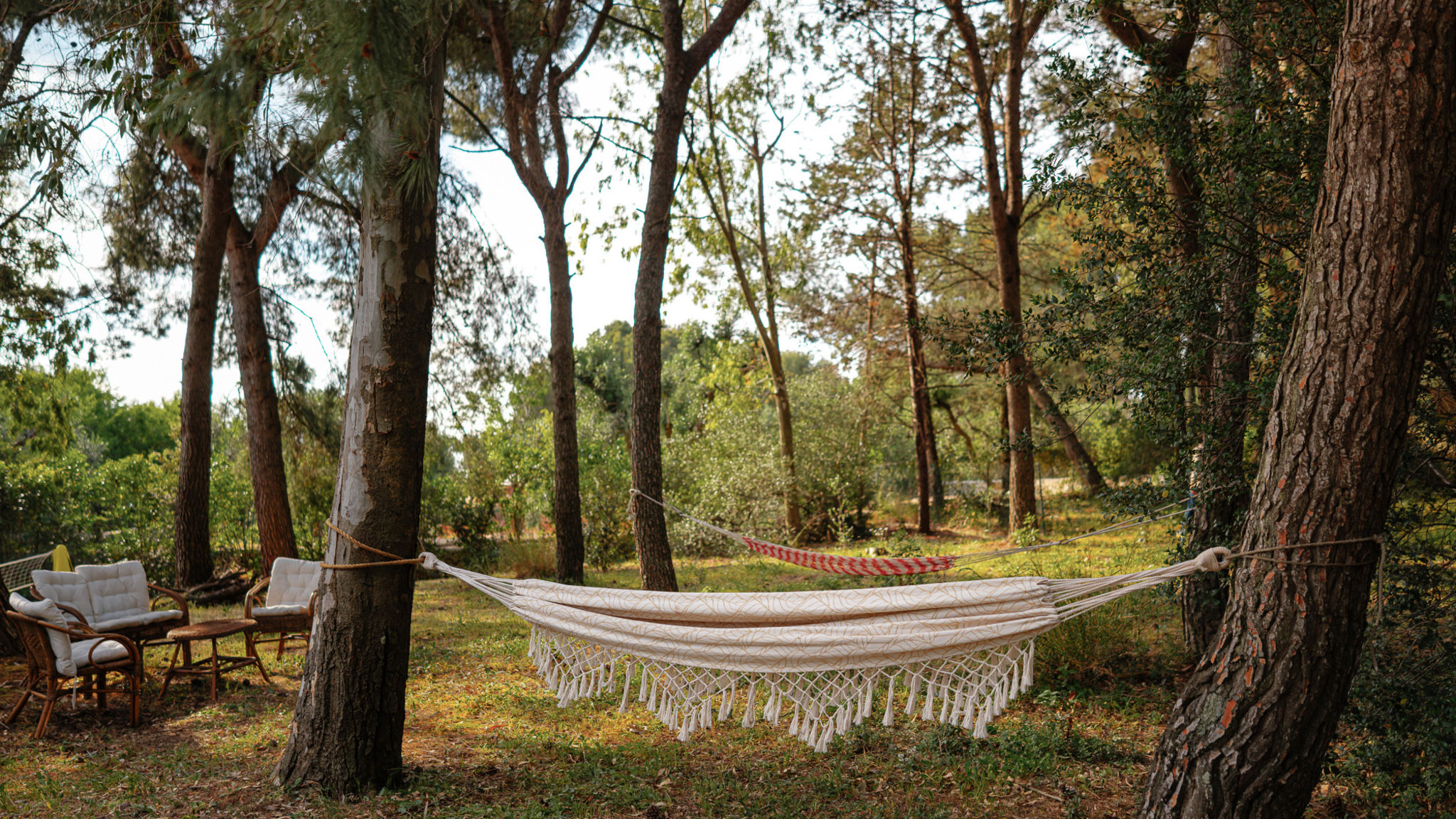 Italianway Ceglie Messapica Villa Giari 8