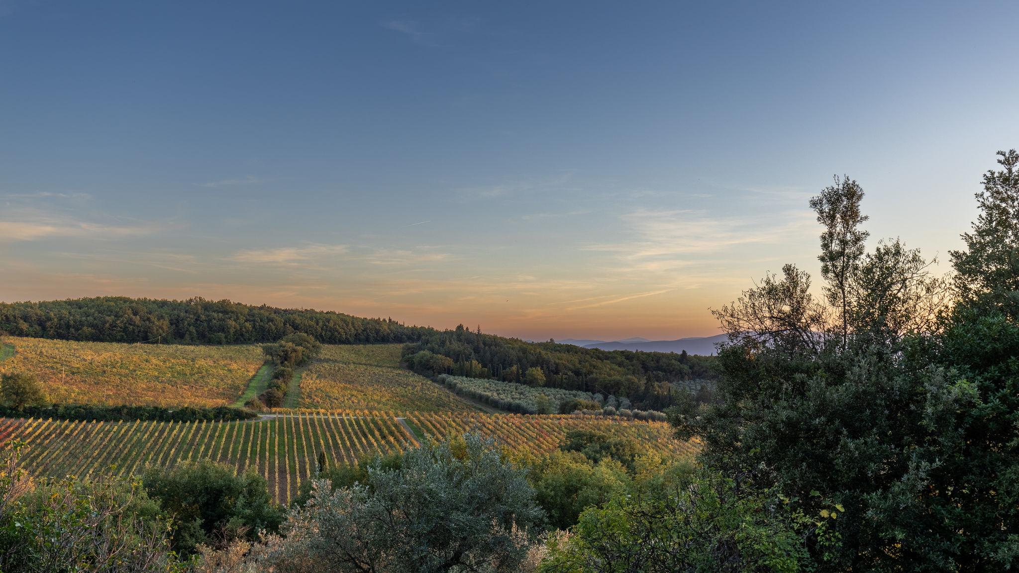 Italianway Castellina in Chianti Castellare in Poggio 10