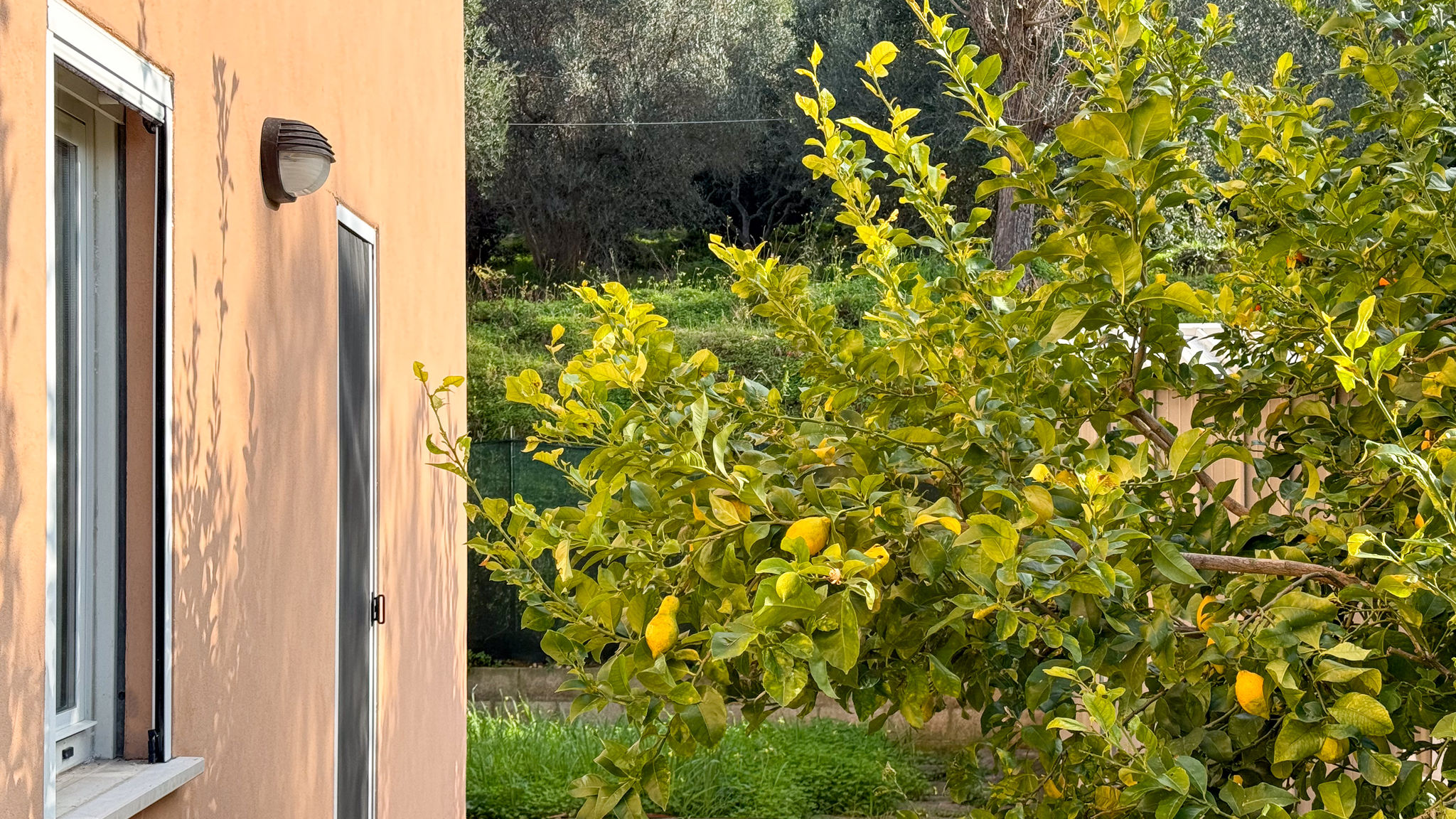 Italianway San Vito Chietino Mare, Monti e Limoni