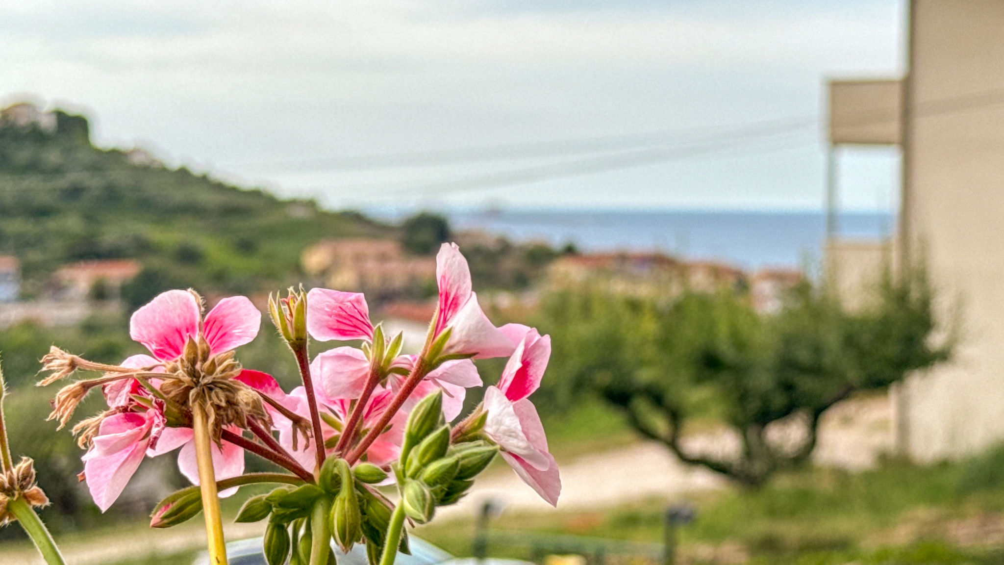 Italianway San Vito Chietino Mare, Monti e Limoni