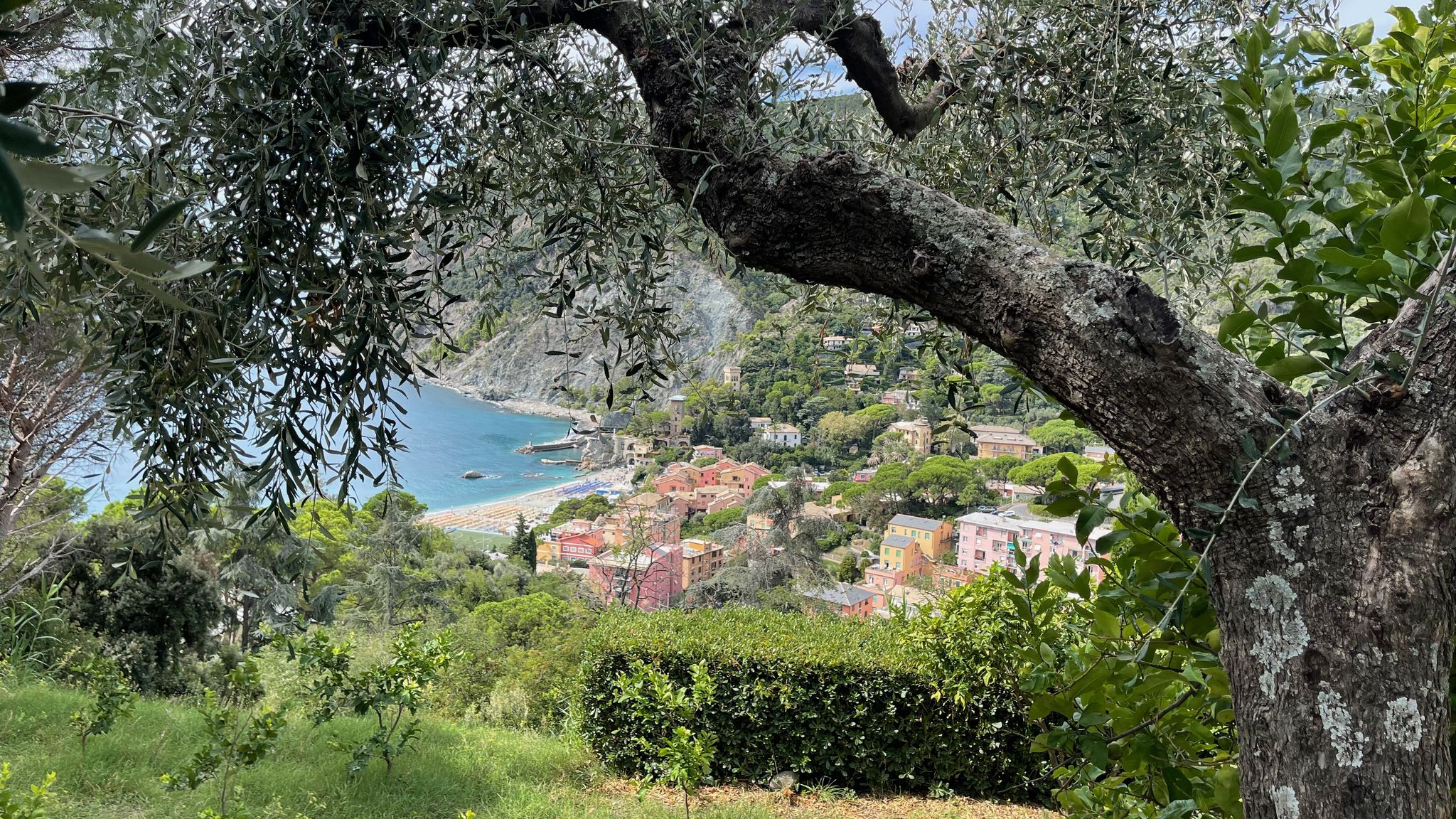 Italianway Monterosso al Mare Historical Villa 'The Birdhouse' with Garden and Views