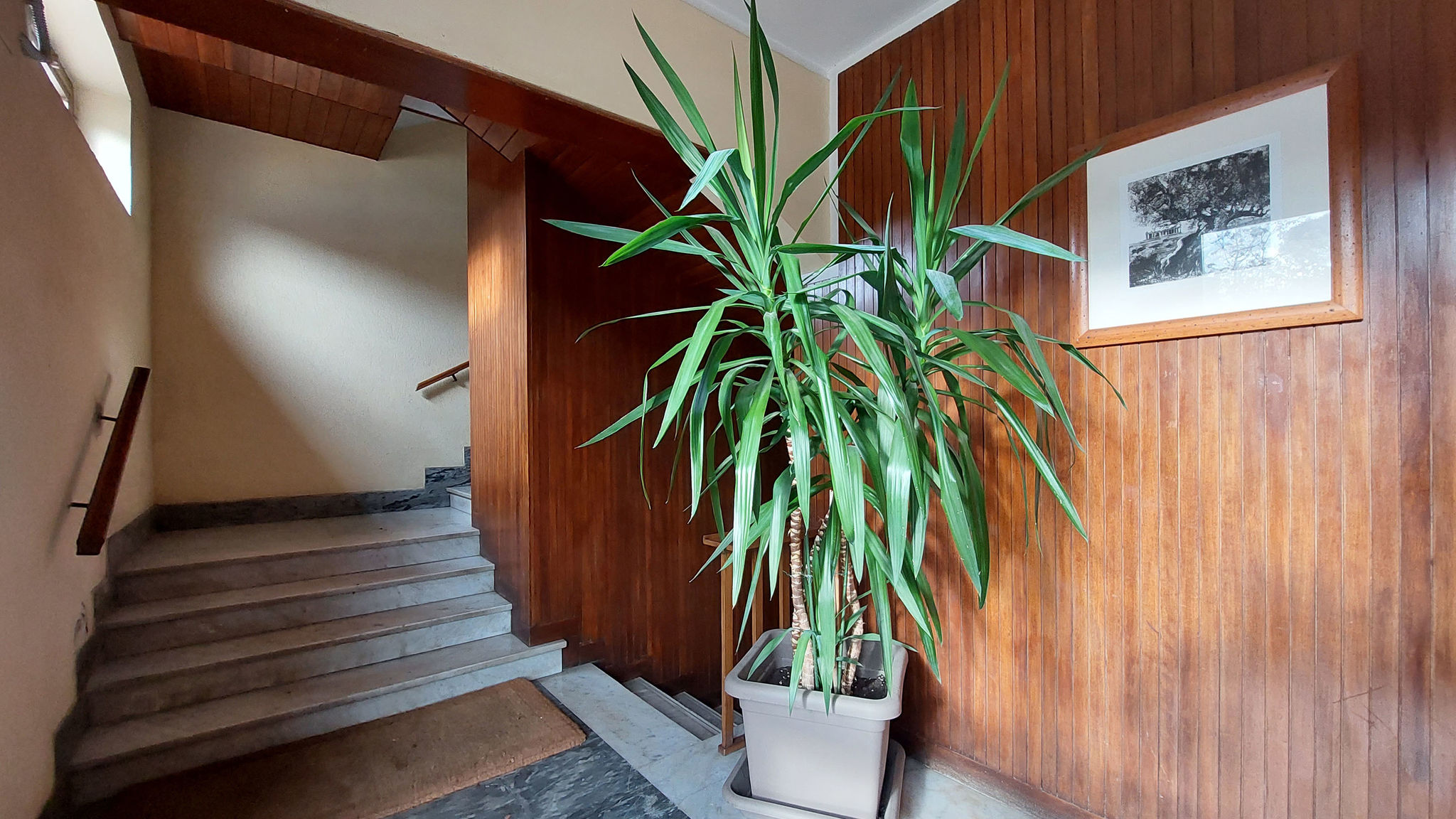 Italianway Roma San Pietro's Flat by Domus&Dimore