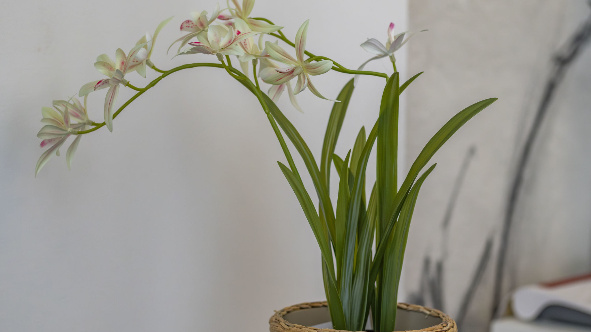 Italianway Milano Stradivarius House