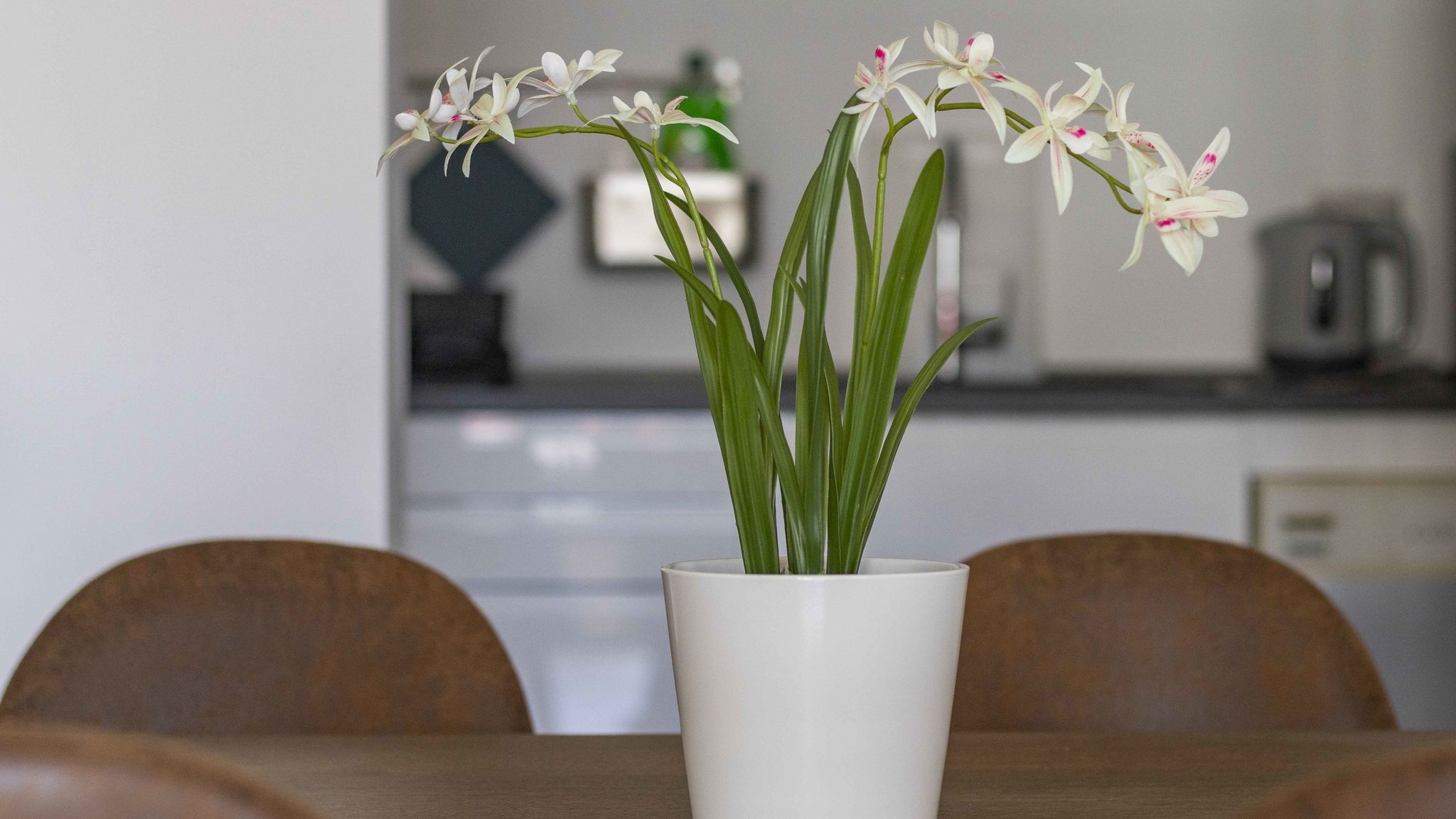 Italianway Milano Bright House