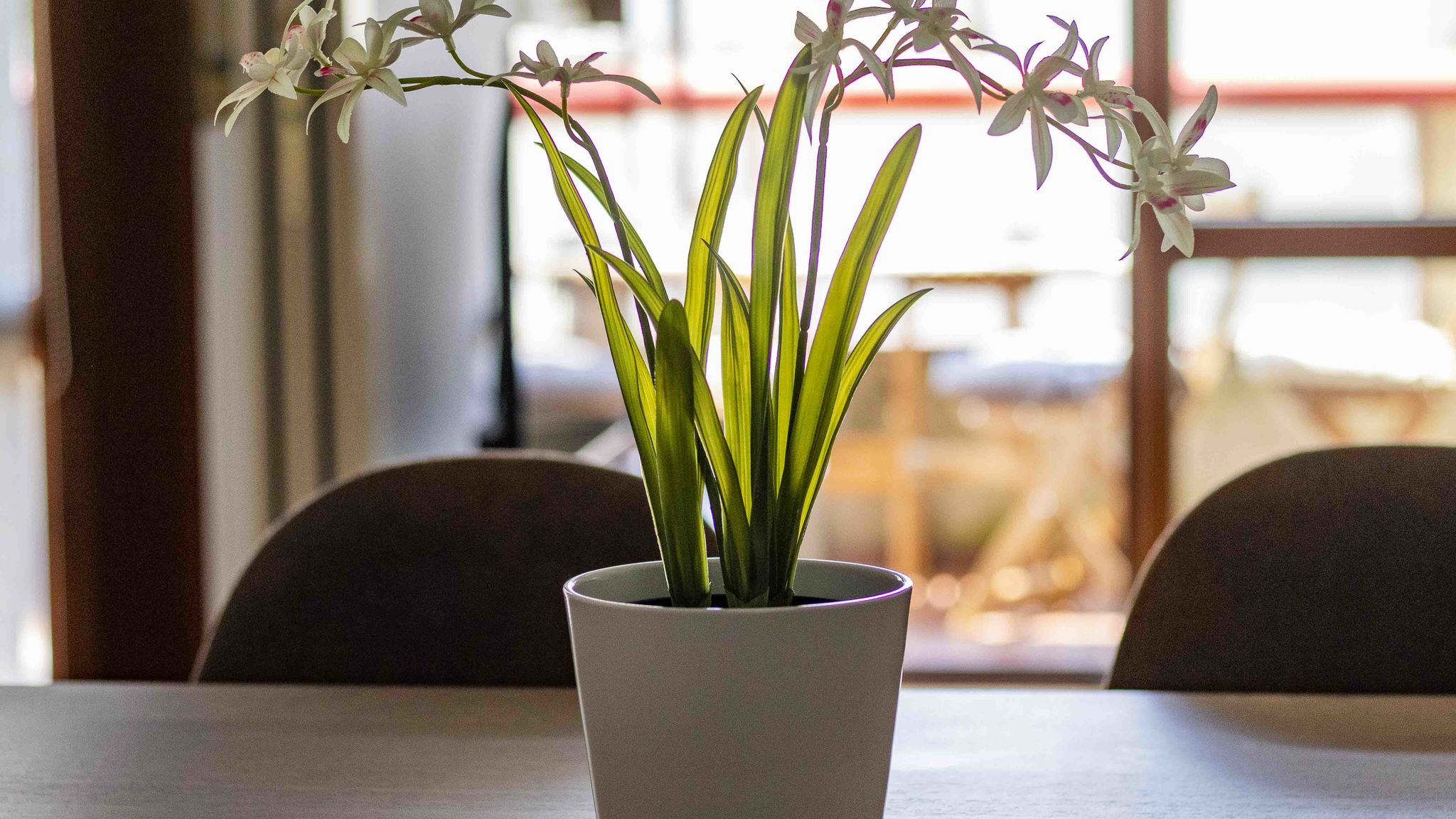 Italianway Milano Bright House