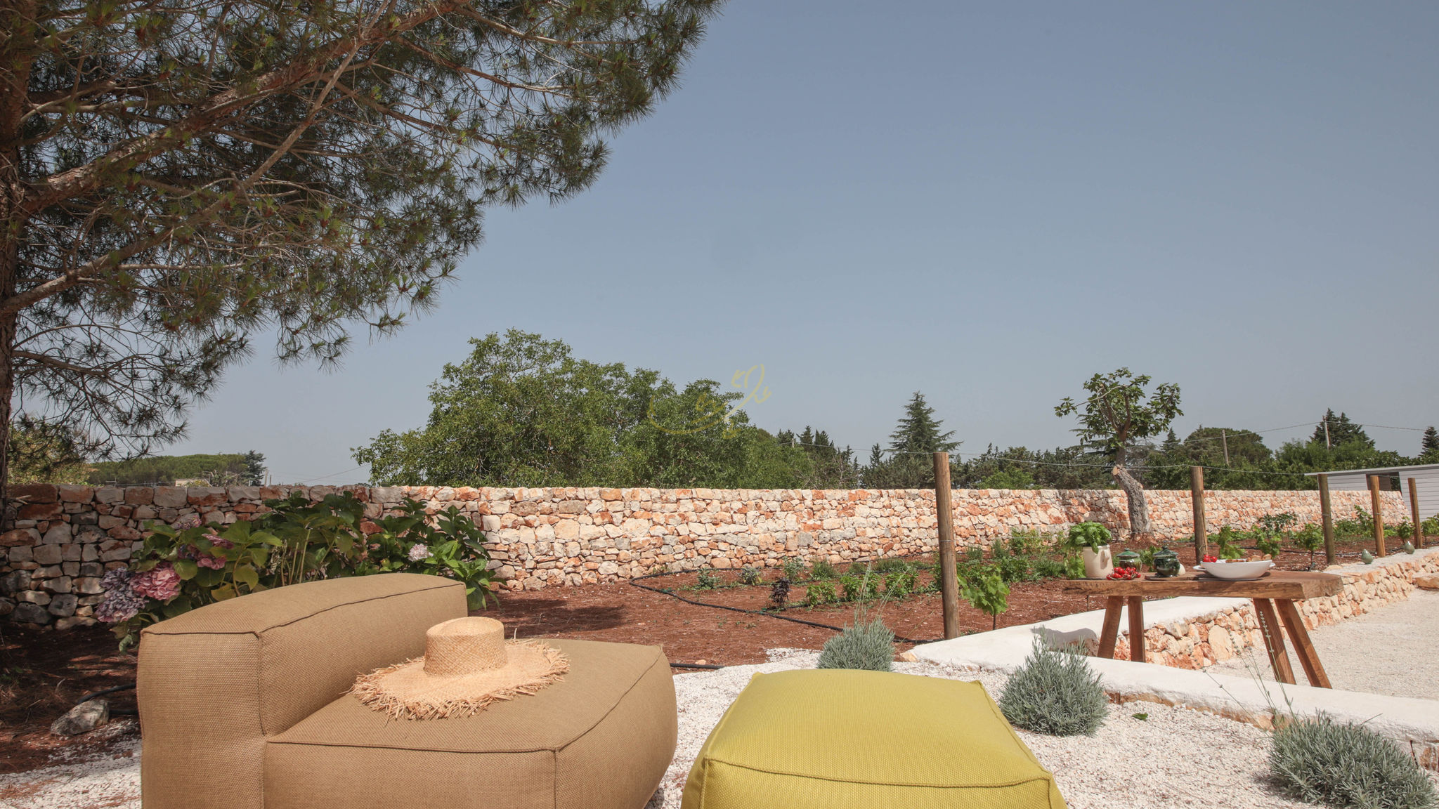 Trulli e Dimore Property Management Martina Franca TD I Coni di Pinurè Trulli with Scenic Valley View