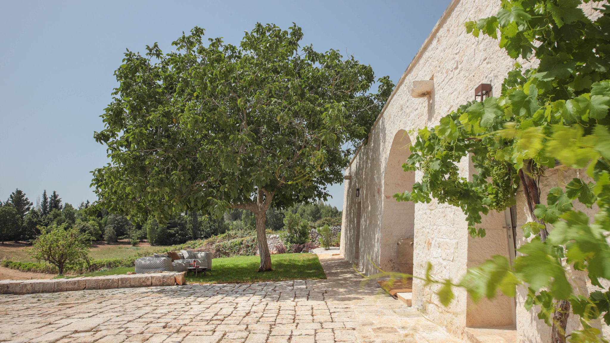 Trulli e Dimore Property Management Martina Franca TD I Coni di Pinurè Trulli with Scenic Valley View