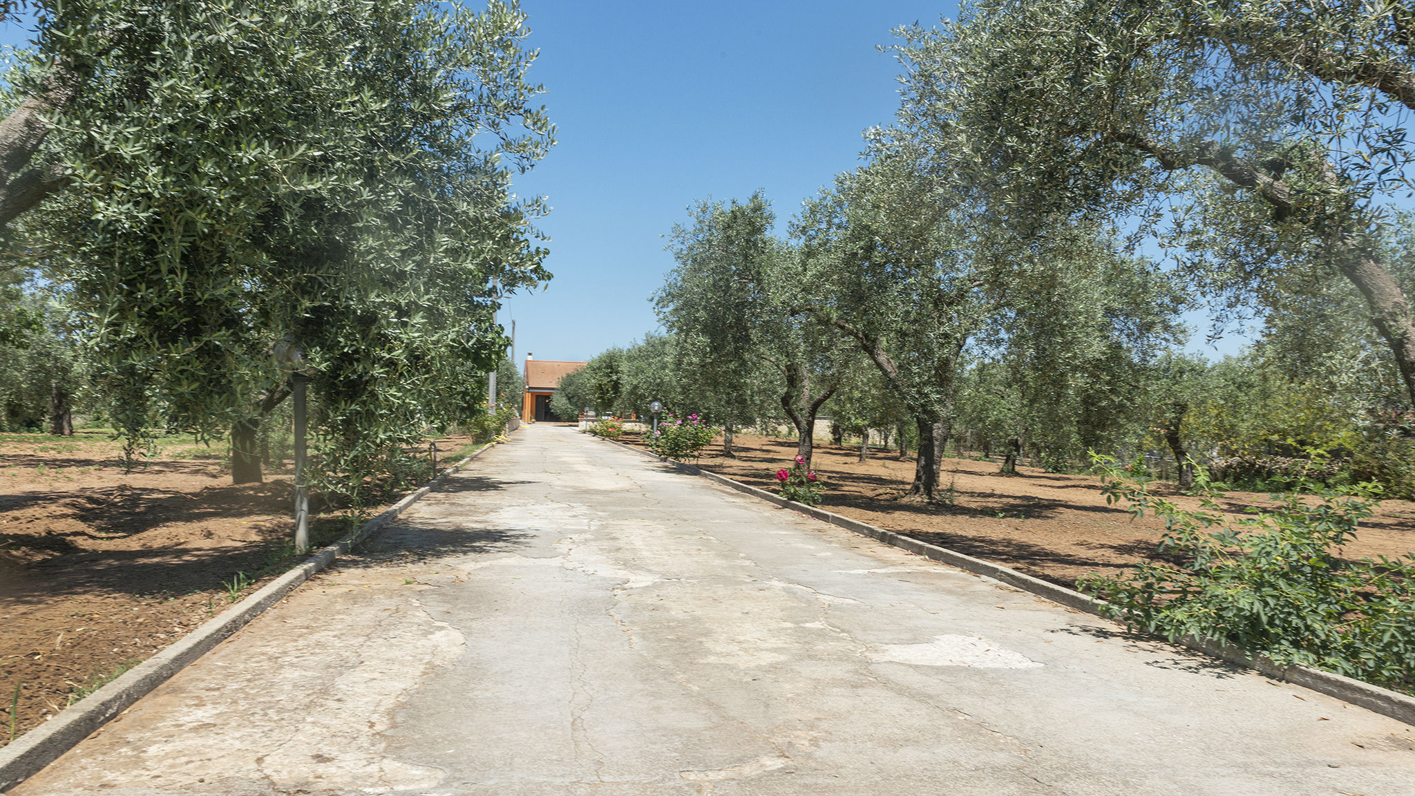 Italianway Alghero  Domo Galante