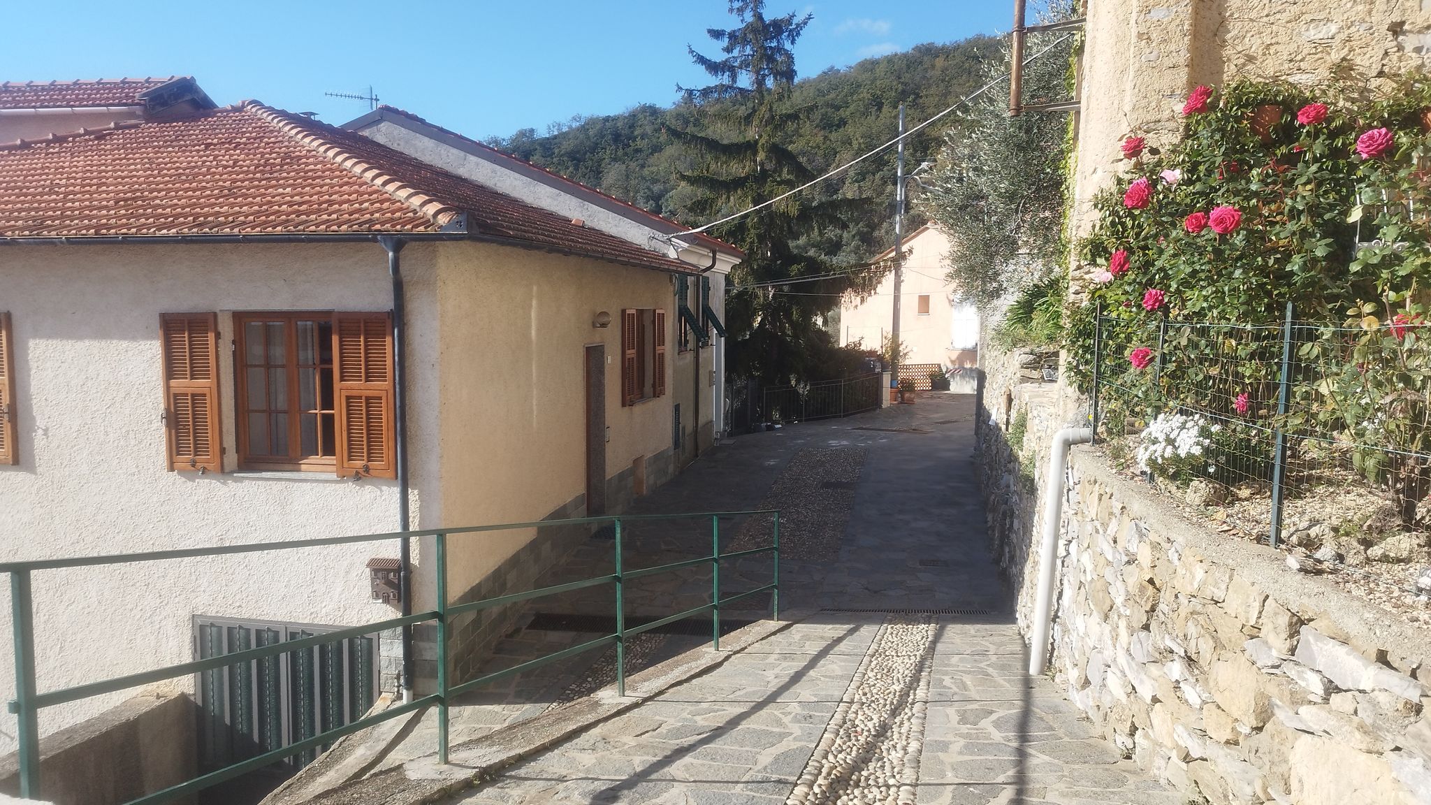 Italianway Arnasco Serenità tra gli ulivi