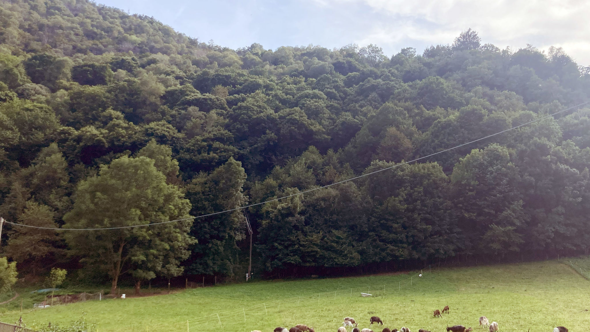 Italianway Ballabio Ballabio IRIS - Relaxing Alpine Getaway