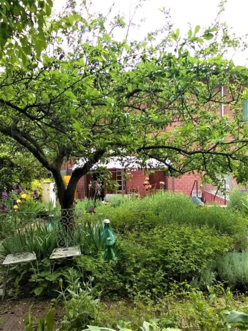 Italianway Paratico Il Piccolo Giardino Paratico