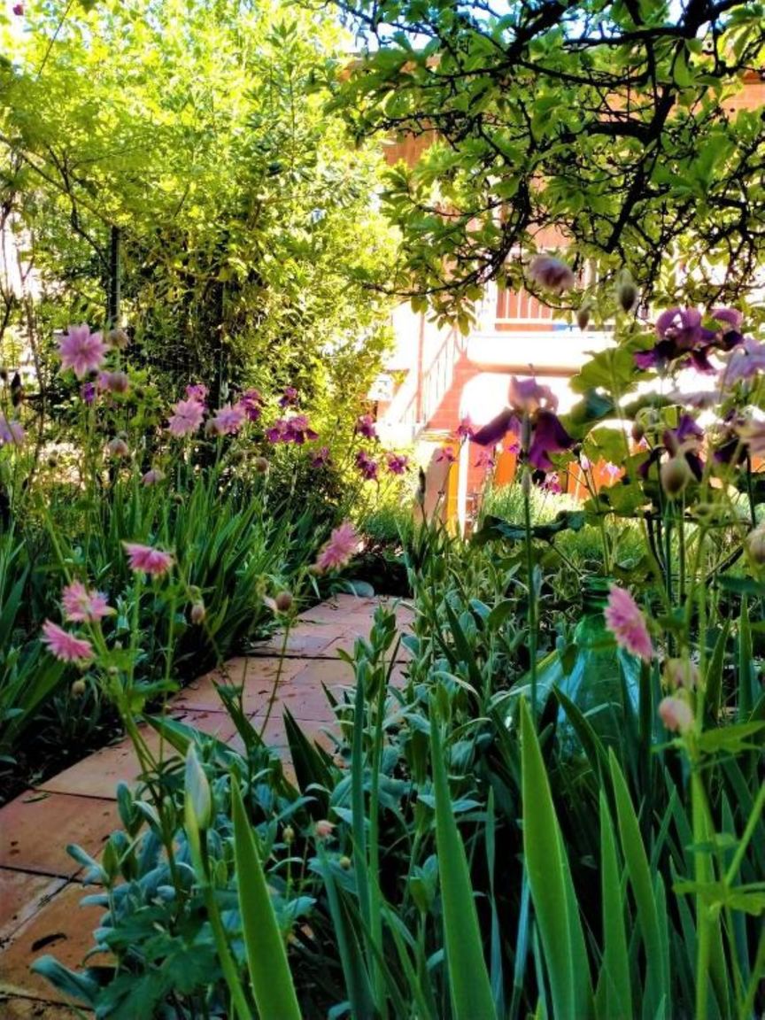 Italianway Paratico Il Piccolo Giardino Paratico