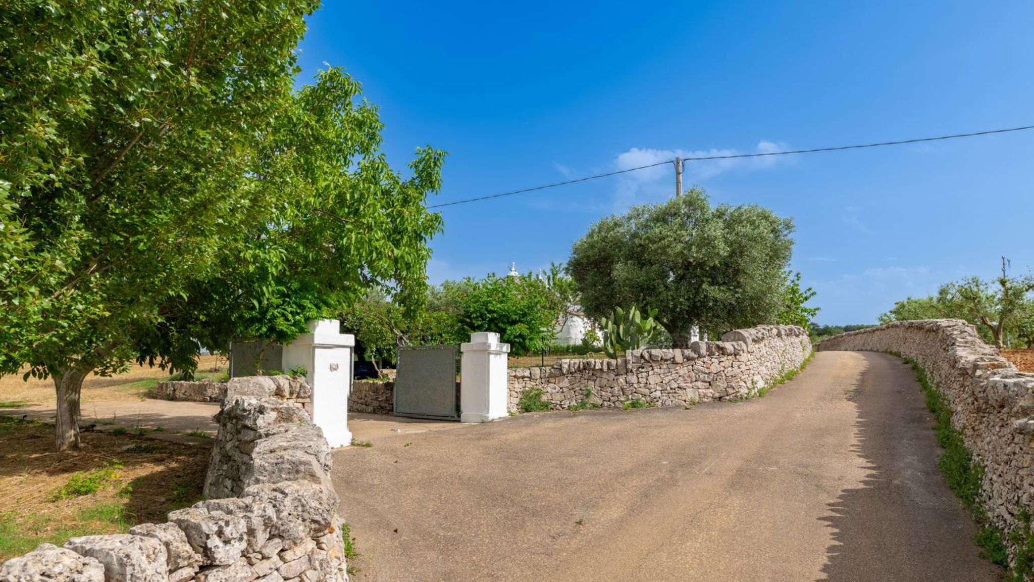 Italianway Martina Franca Trulli autentico Dipinto