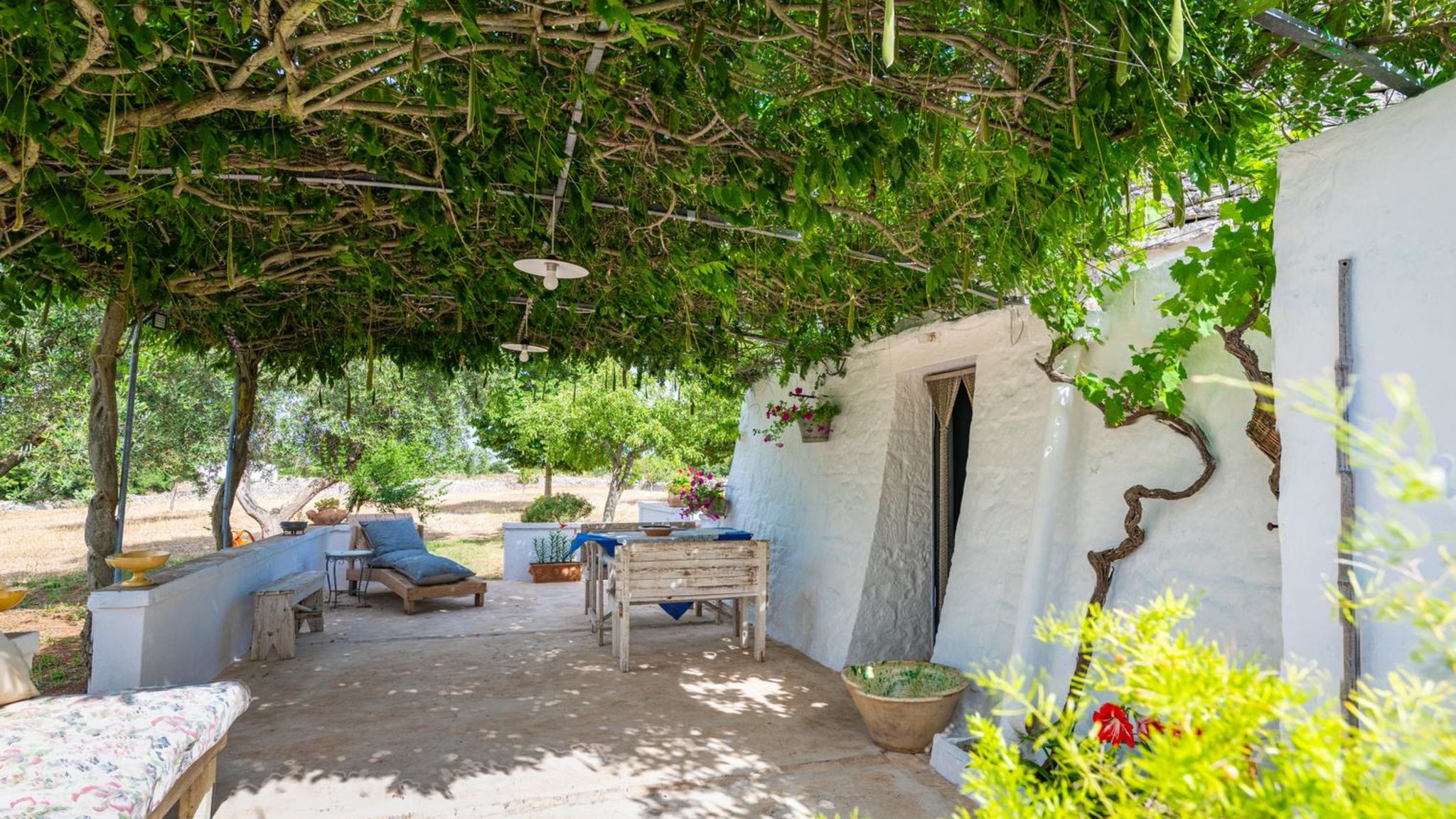 Italianway Martina Franca Trulli autentico Dipinto