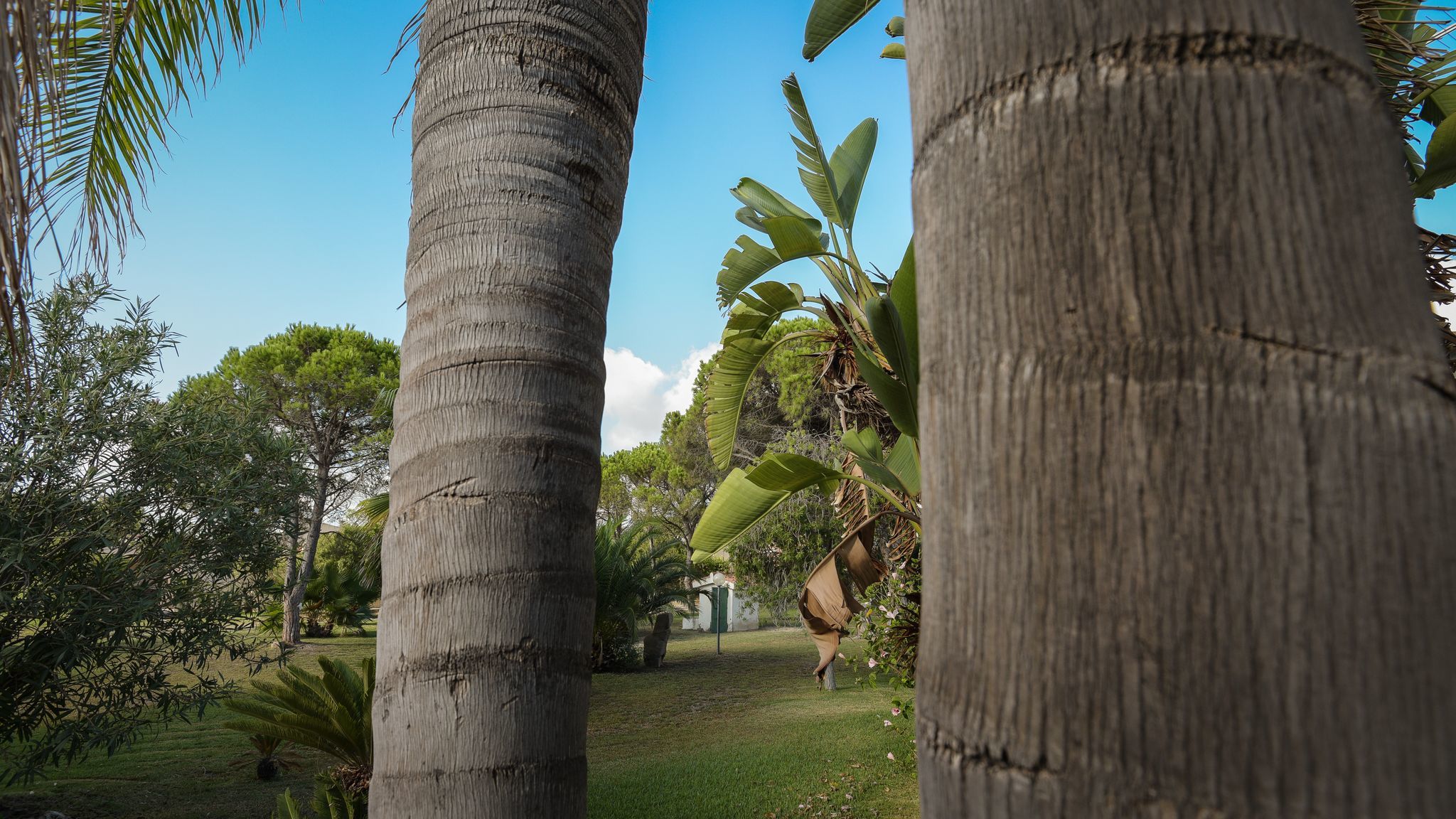 Italianway Muravera Villa Chiara