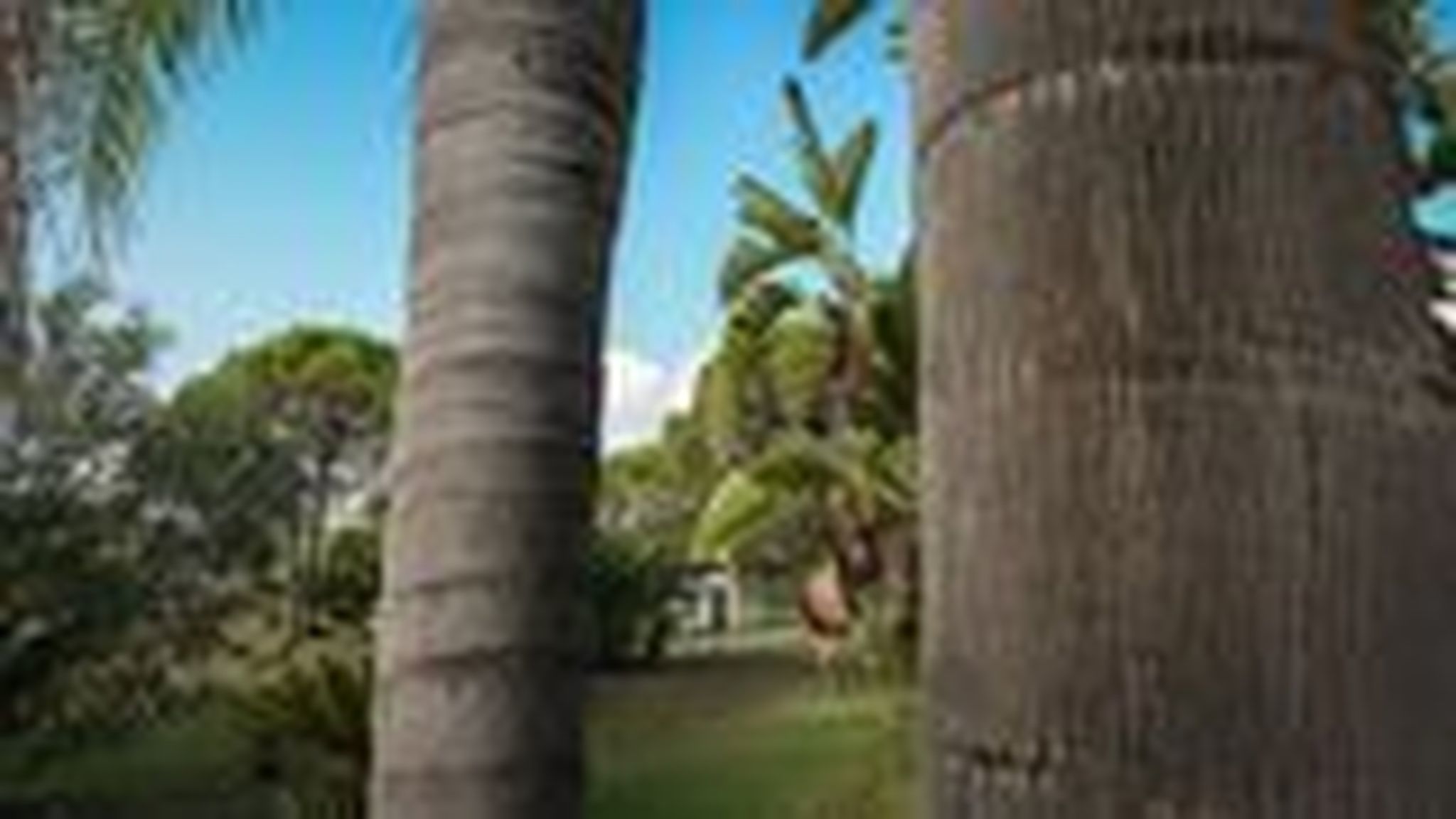 Italianway Muravera Villa Adele