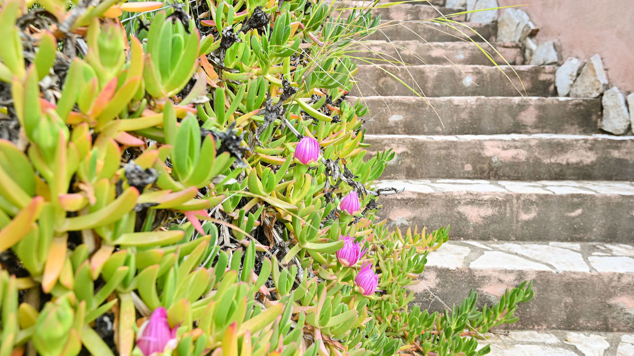 Italianway Muravera Villa Alba