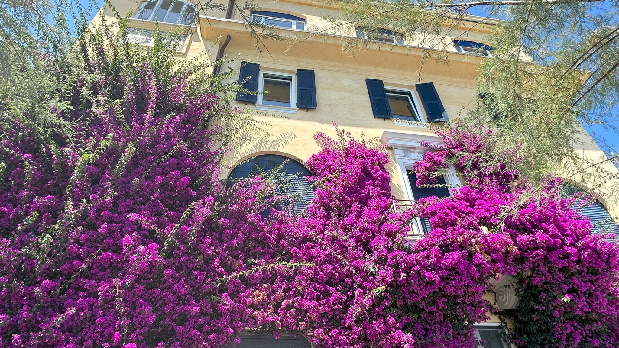 Italianway Monterosso al Mare Villa Ferrer Best view of the sea and the 5terre