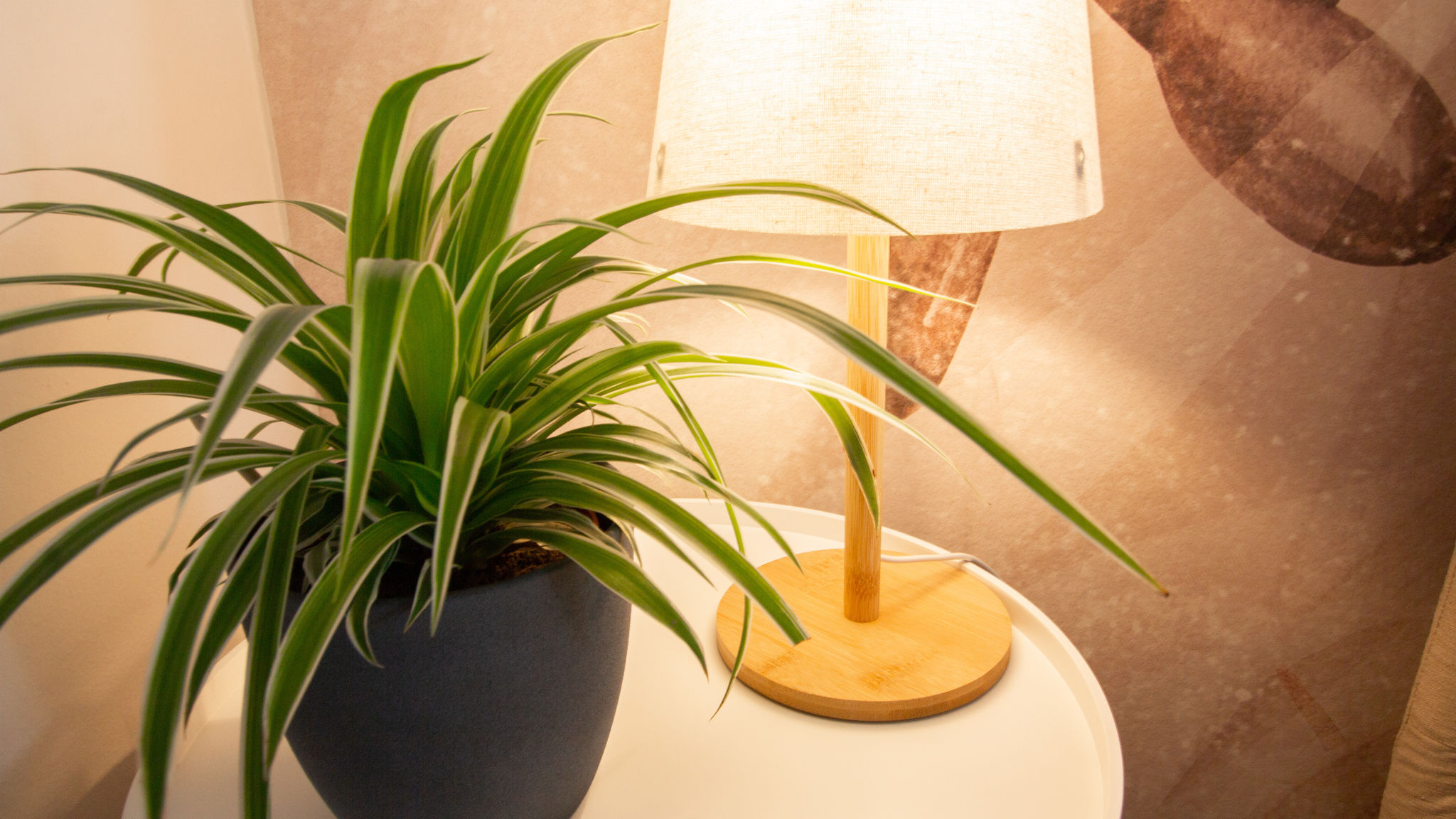 Italianway Verona Anastasia