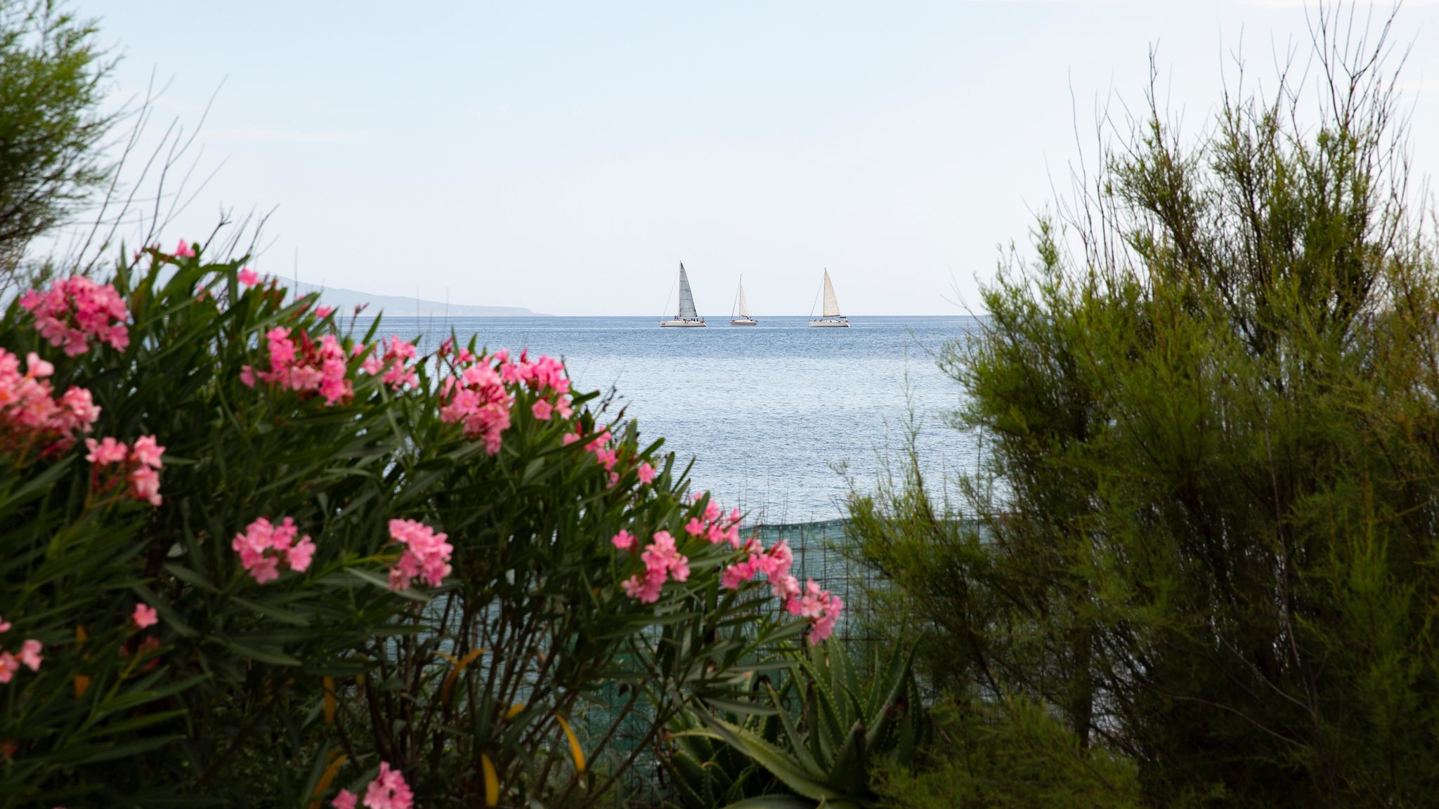 Italianway Stintino Villa Flamingo