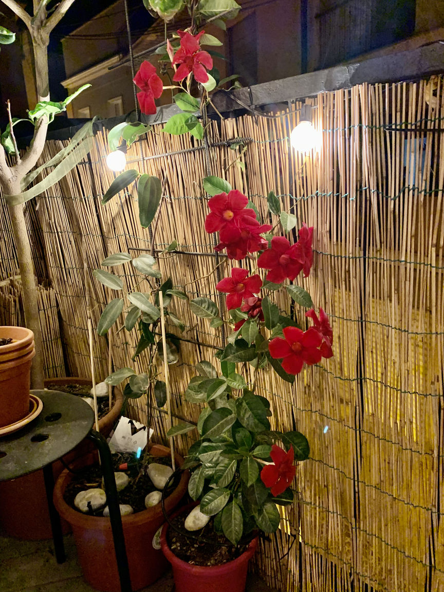 Italianway Cagliari Urban Greener - Morada