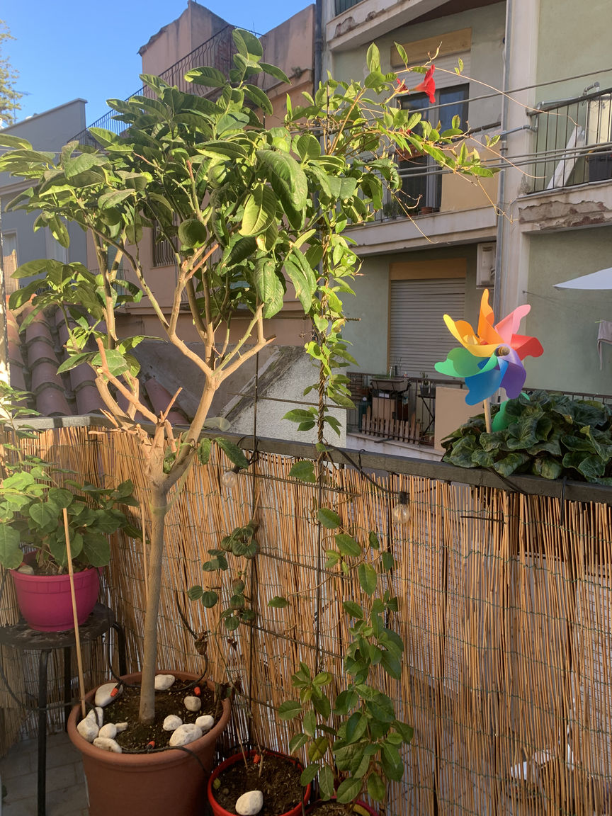 Italianway Cagliari Urban Greener - Morada